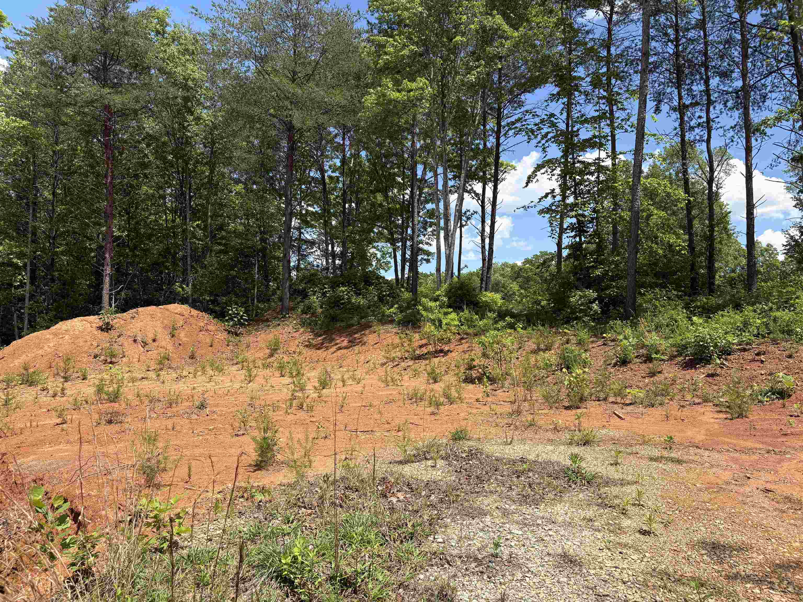 119 Tugaloo Road, Landrum, South Carolina image 10