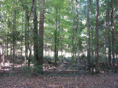 Vacant Land For Sale - Gossett Rd<br/> Spartanburg County, Woodruff, SC 29388