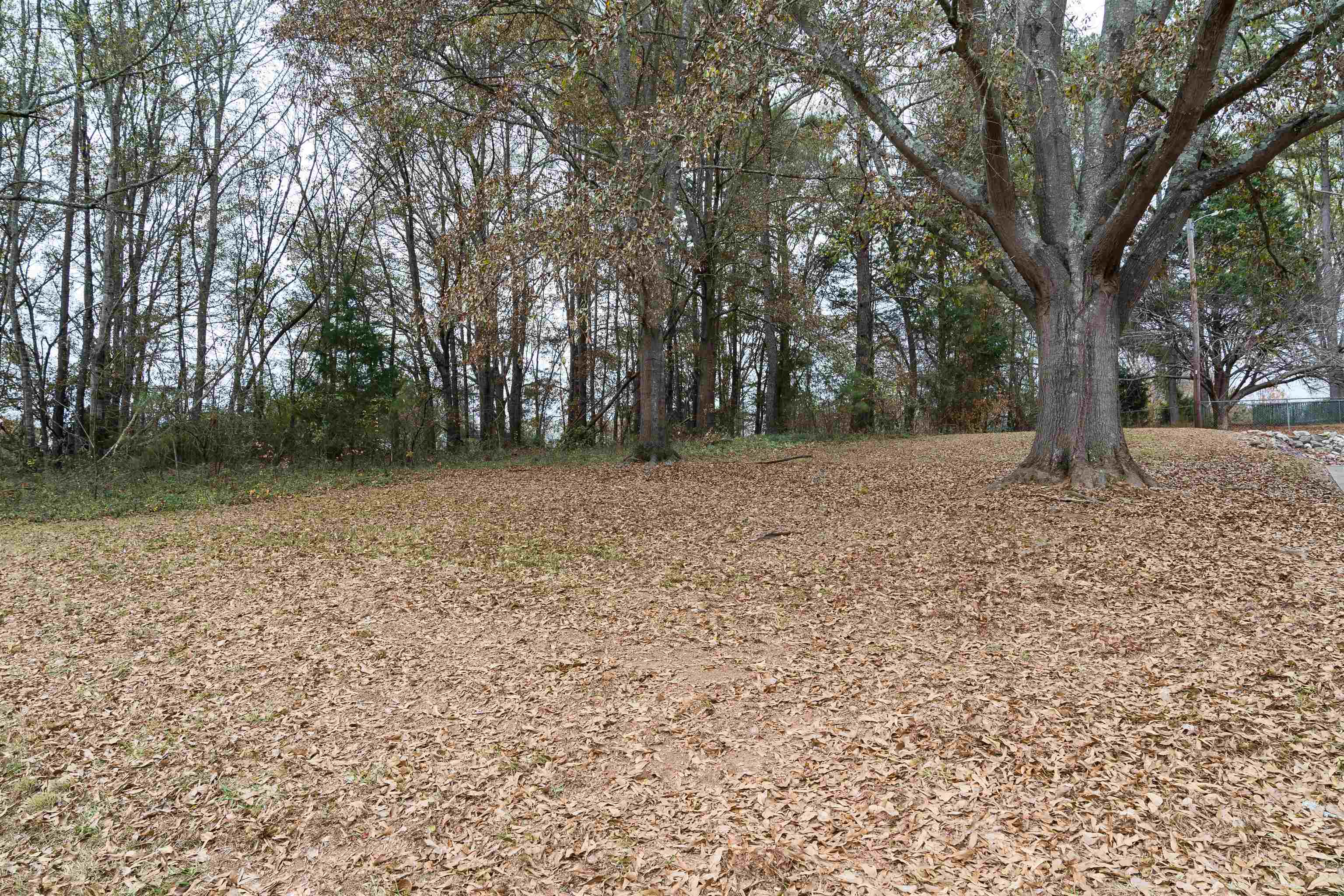 227 Candlewood Lane, Gaffney, South Carolina image 29