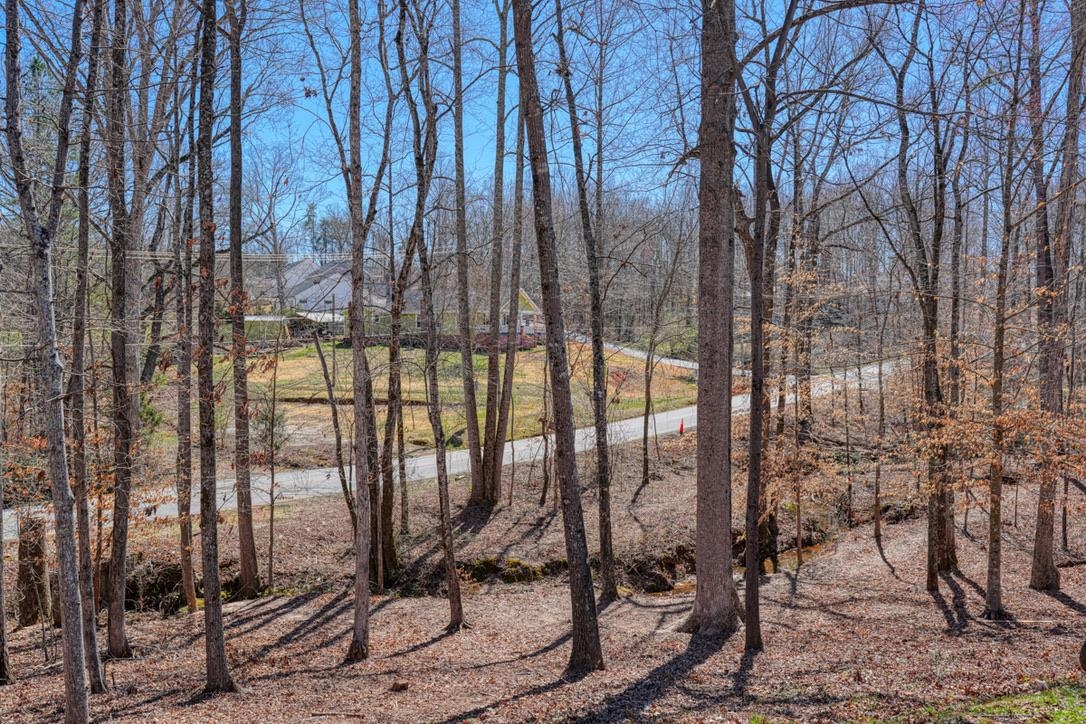 2007 Edwards Lake Road, Greer, South Carolina image 41