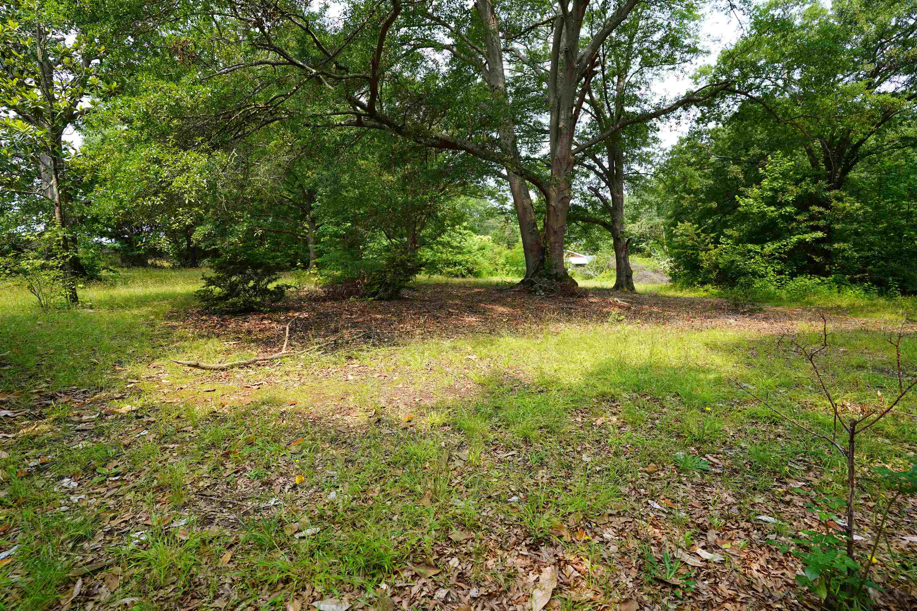 231 Ranch Road, Spartanburg, South Carolina image 6