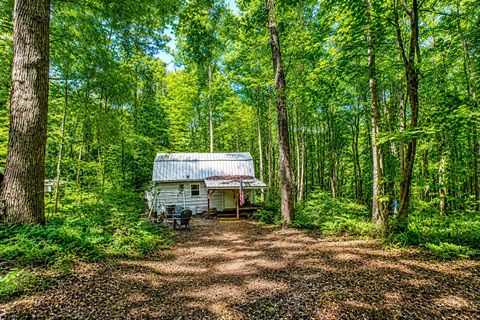 Vacant Land For Sale - Long Branch Road<br/> Spartanburg County, Enoree, SC 29335