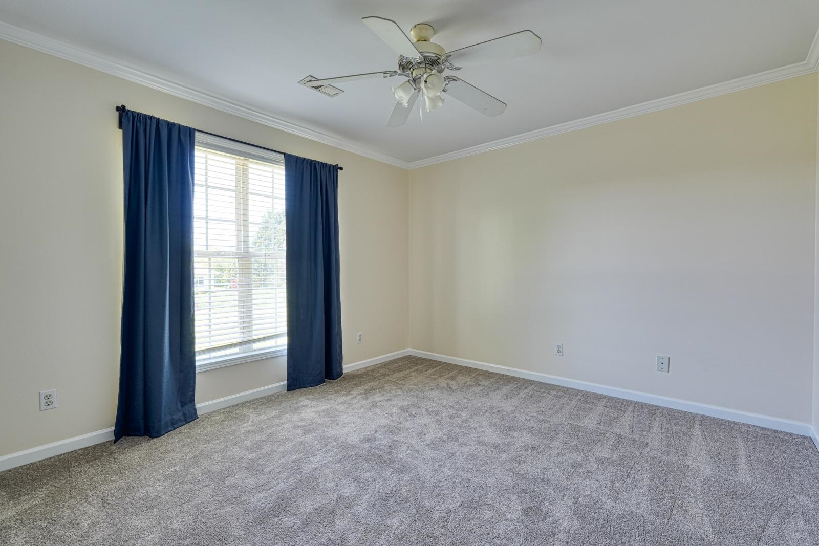 311 Wilkins Cove Court, Inman, South Carolina image 37