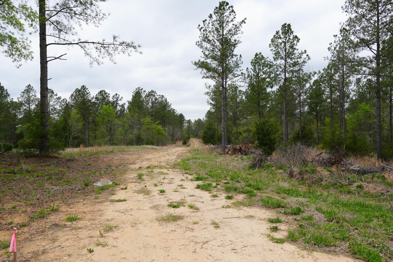 Lot 2 Fields Road, Pauline, South Carolina image 5