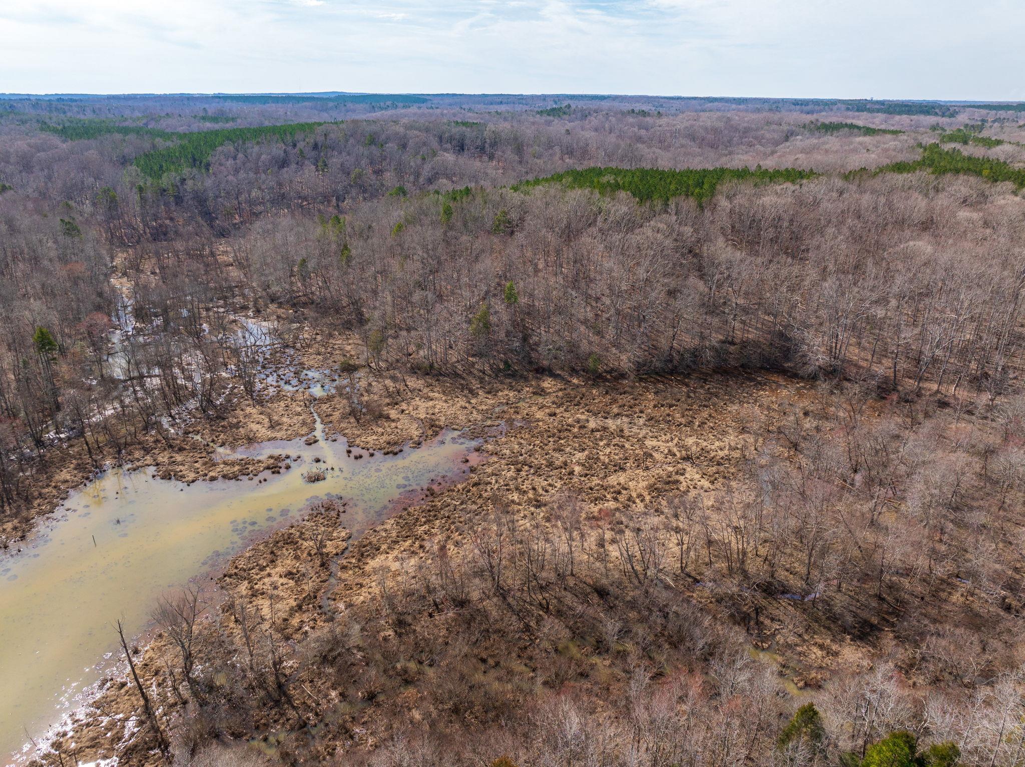 Hemlock Rd, Gaffney, South Carolina image 41