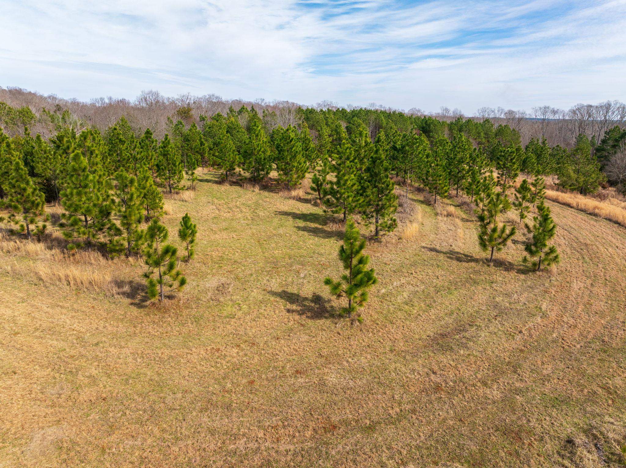 Hemlock Rd, Gaffney, South Carolina image 32