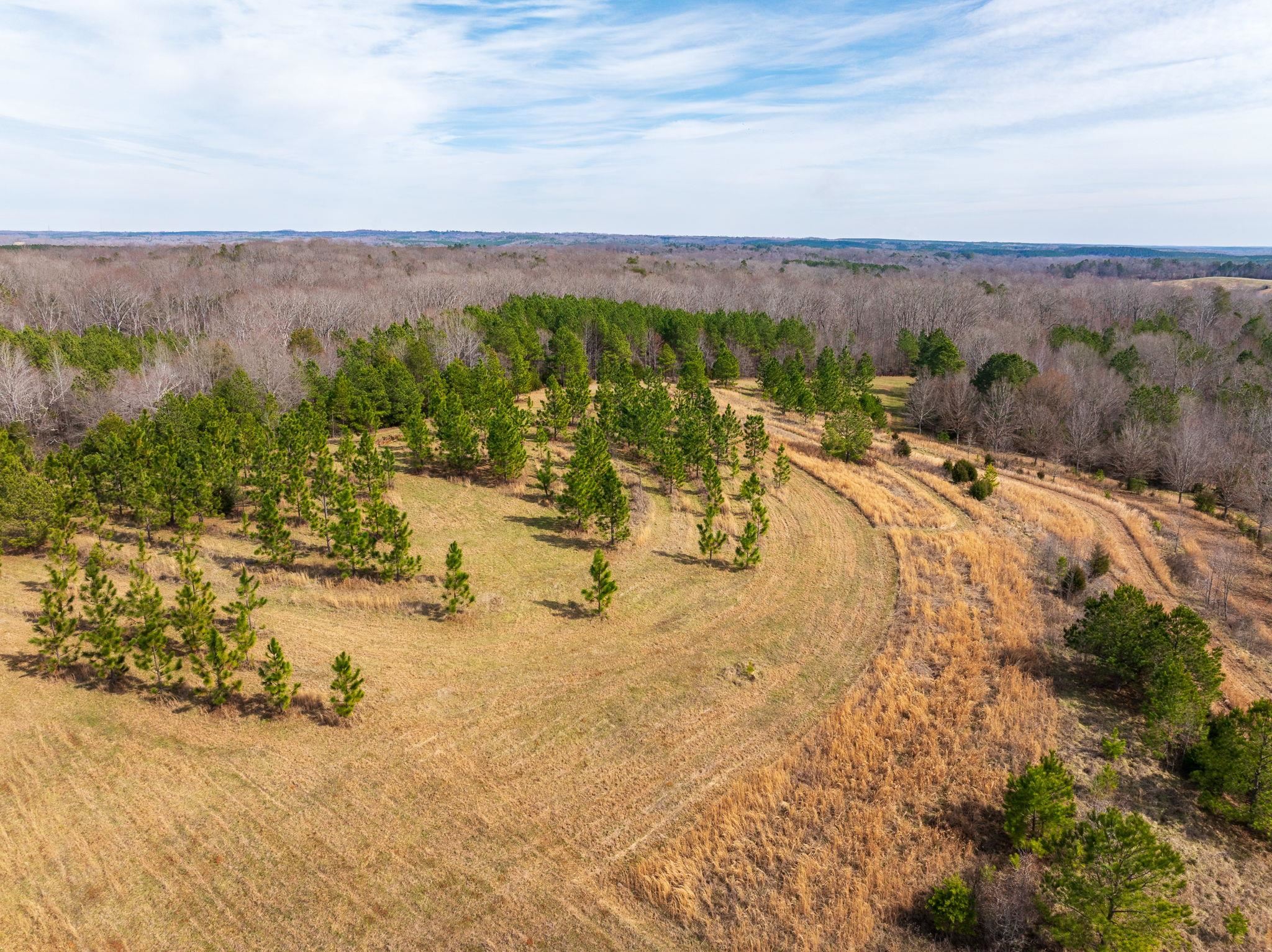 Hemlock Rd, Gaffney, South Carolina image 33