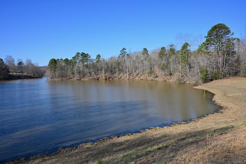 Hemlock Rd, Gaffney, South Carolina image 9