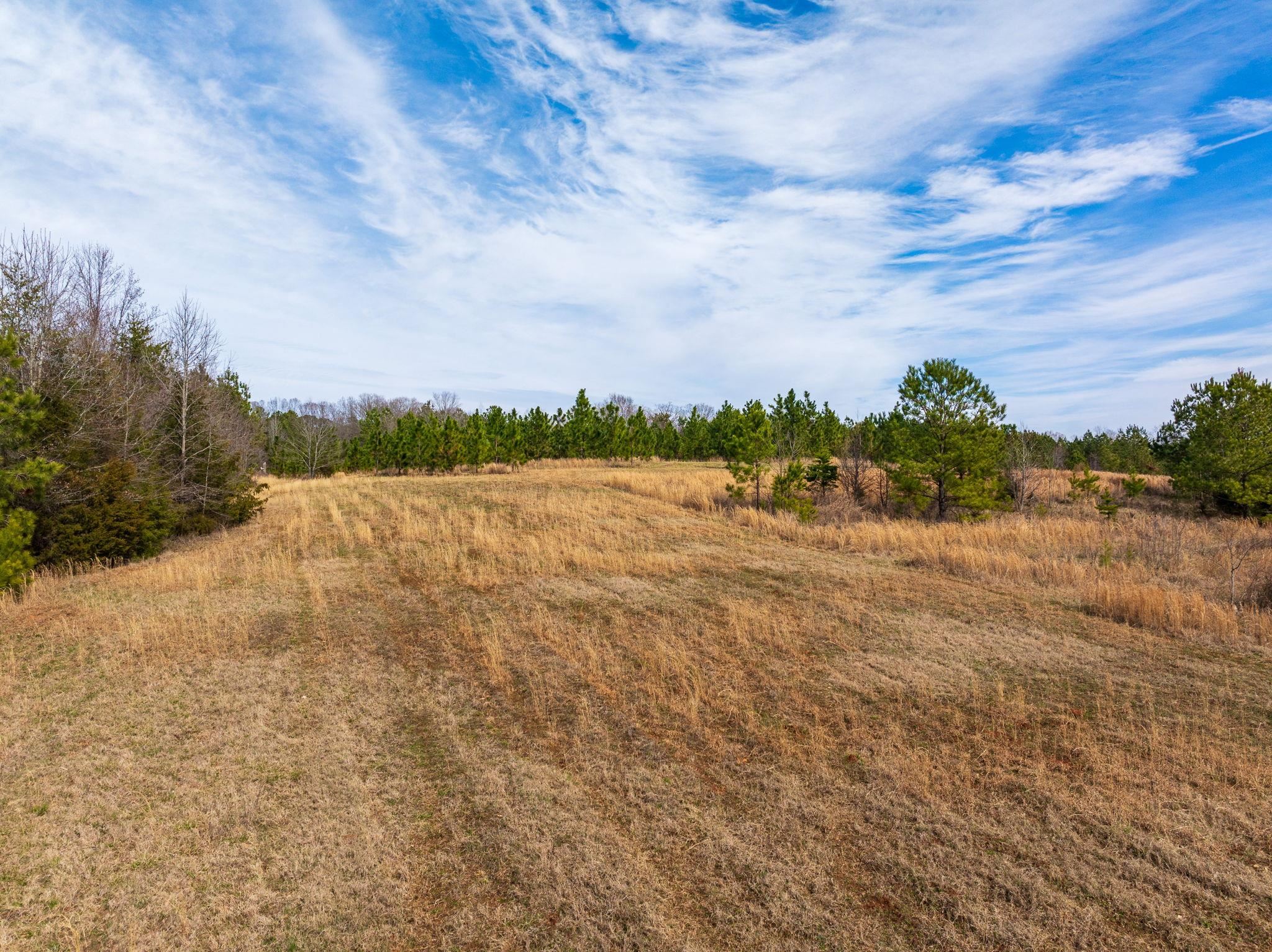 Hemlock Rd, Gaffney, South Carolina image 31