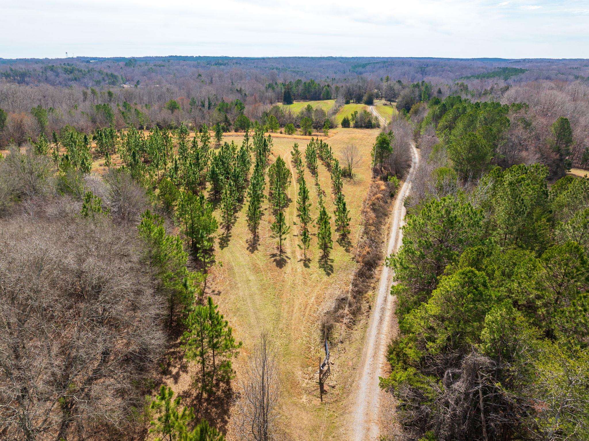 Hemlock Rd, Gaffney, South Carolina image 34