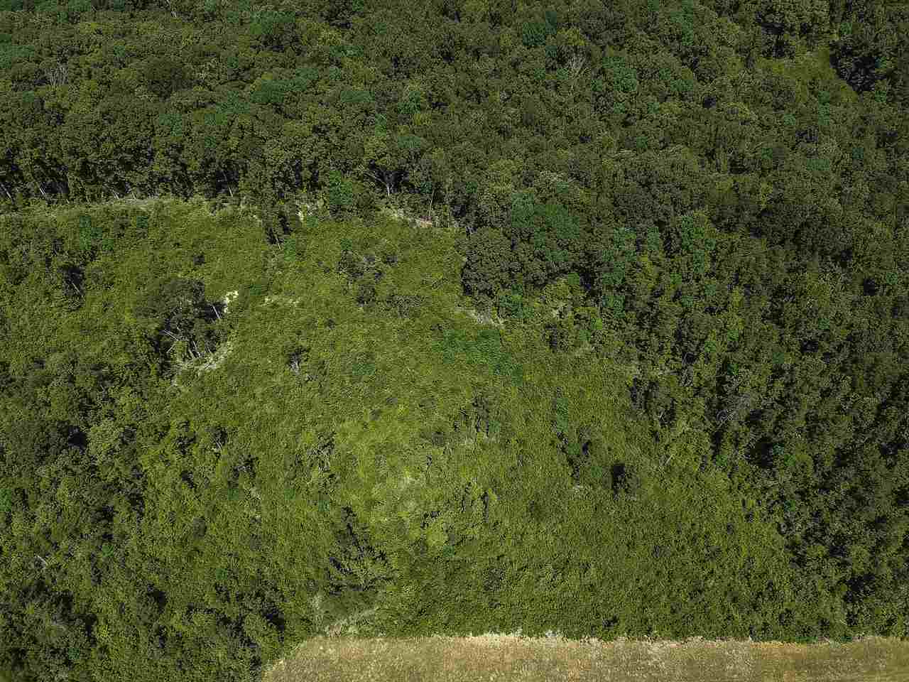 Roddy Road, Woodruff, South Carolina image 7