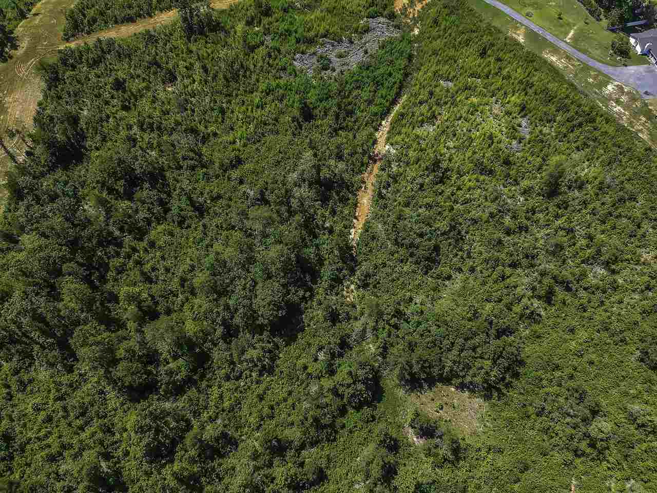 Roddy Road, Woodruff, South Carolina image 5