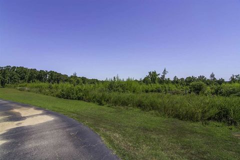Vacant Land For Sale - Roddy Road<br/> Woodruff, SC 29388