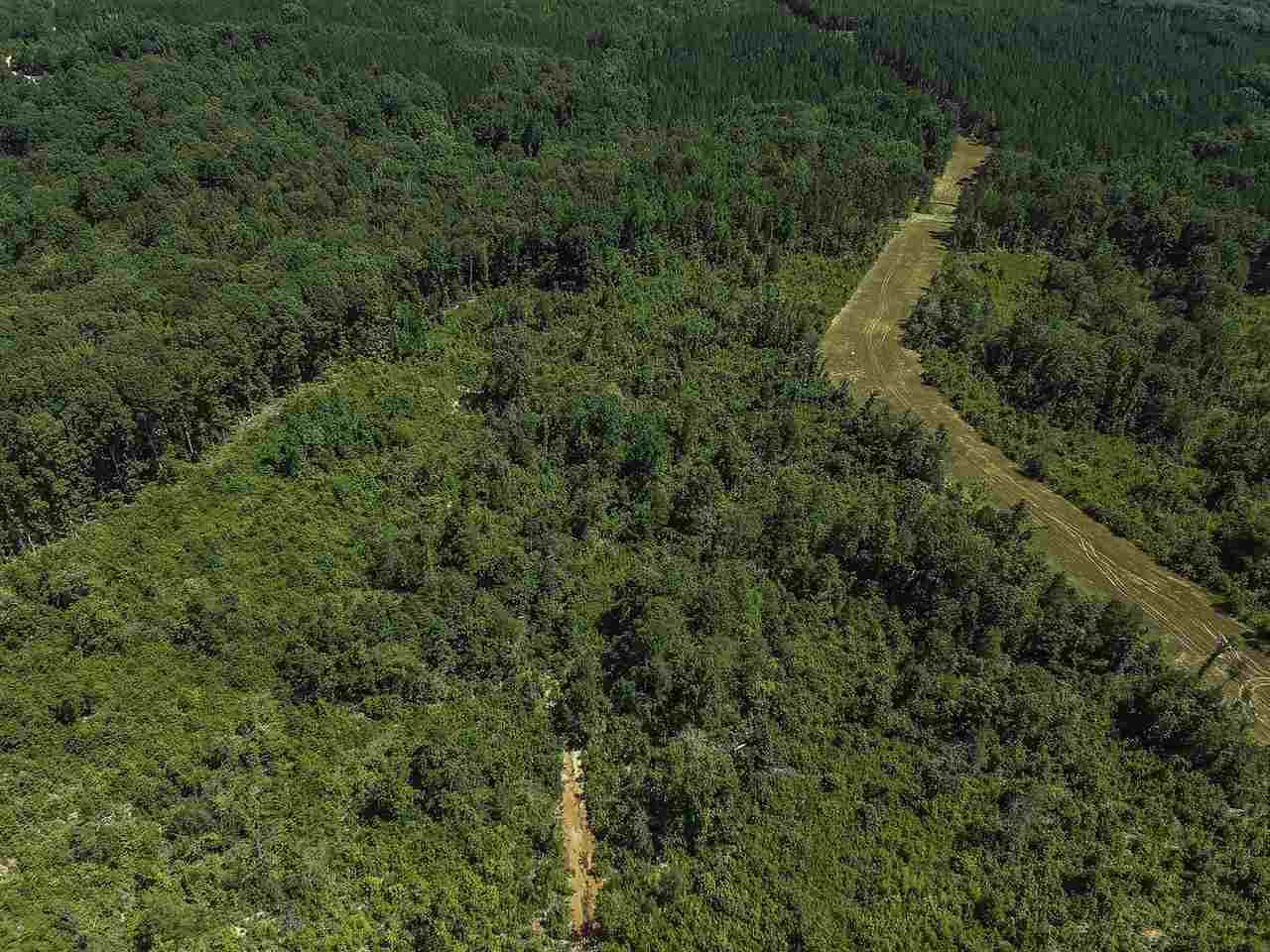 Roddy Road, Woodruff, South Carolina image 10