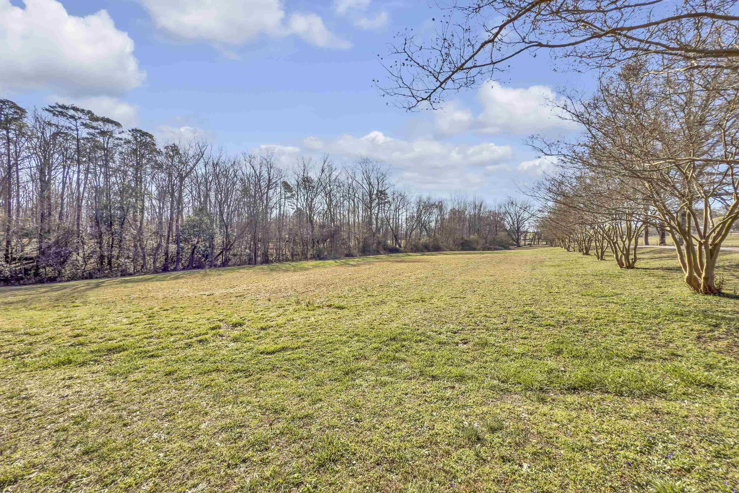 102 Ida Dacus Way, Williamston, South Carolina image 44