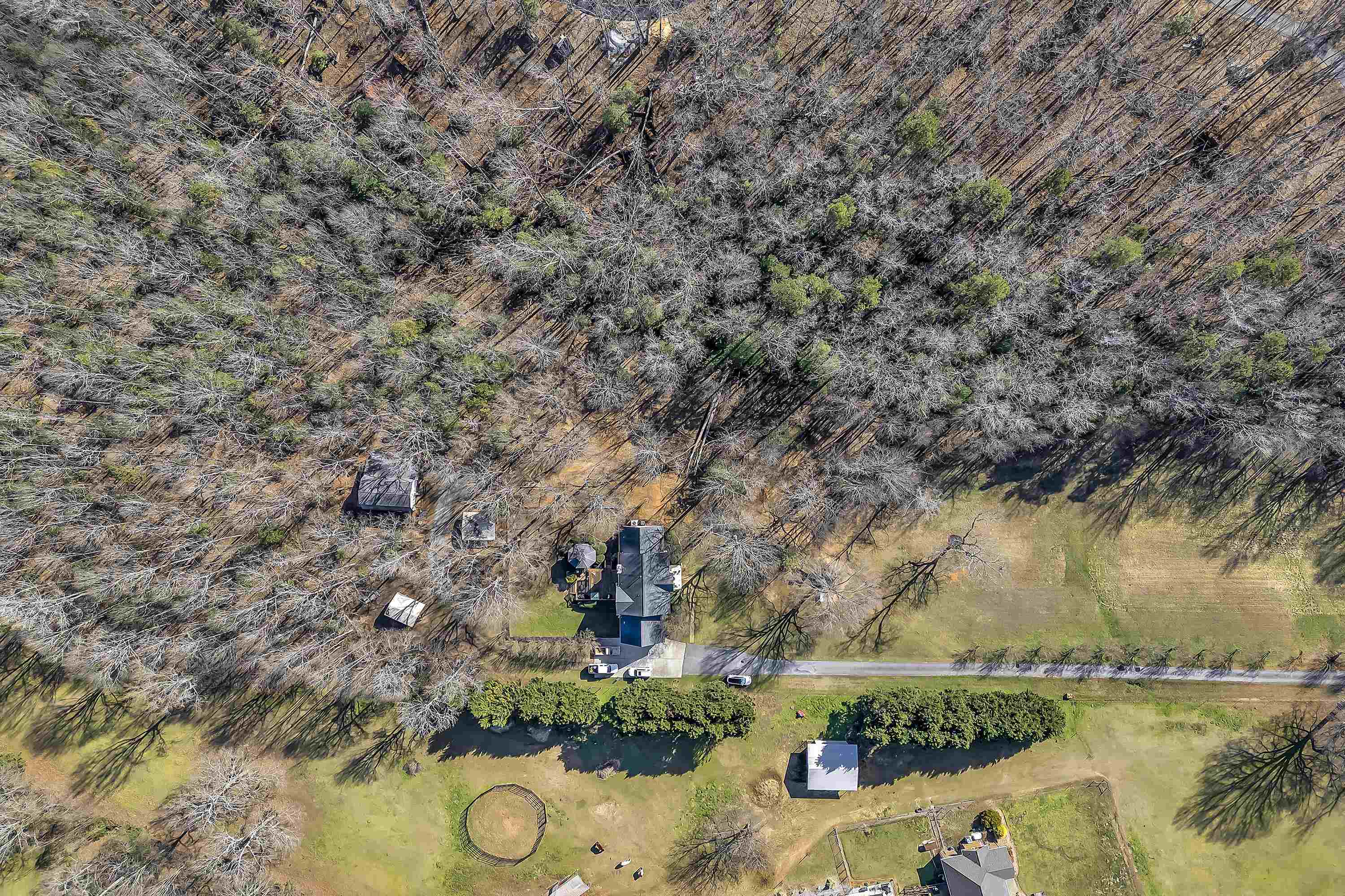 102 Ida Dacus Way, Williamston, South Carolina image 41