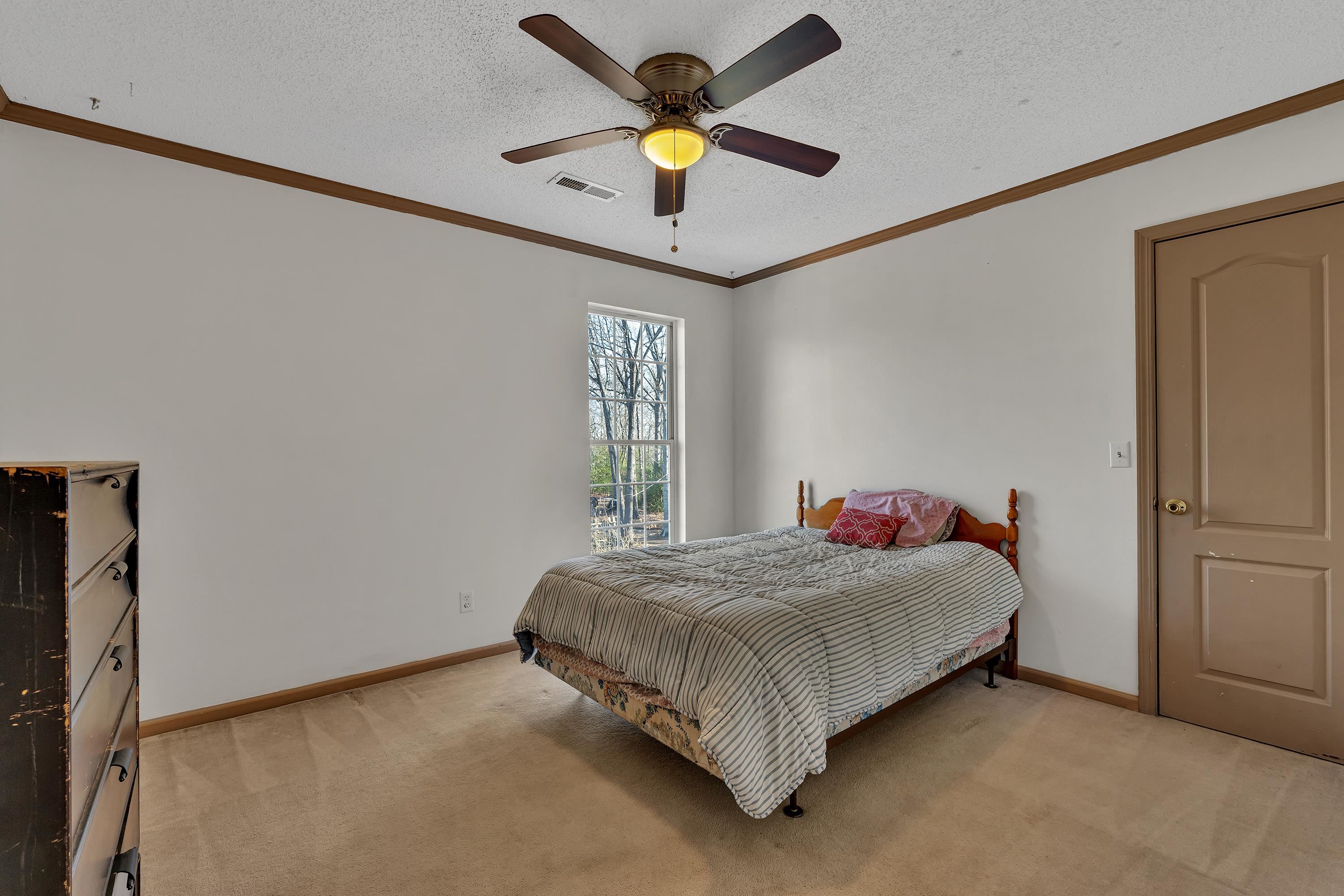 102 Ida Dacus Way, Williamston, South Carolina image 28