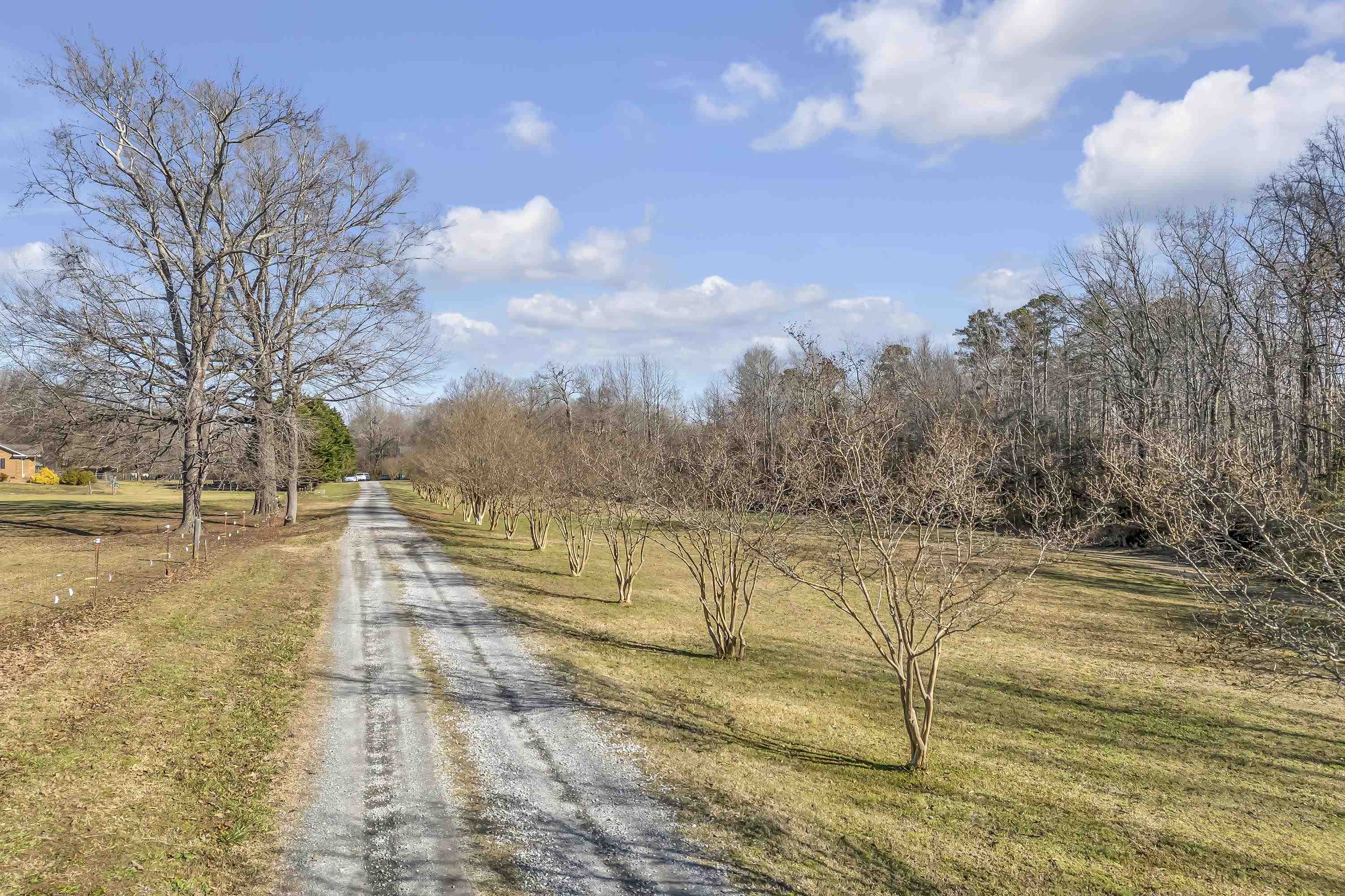 102 Ida Dacus Way, Williamston, South Carolina image 39