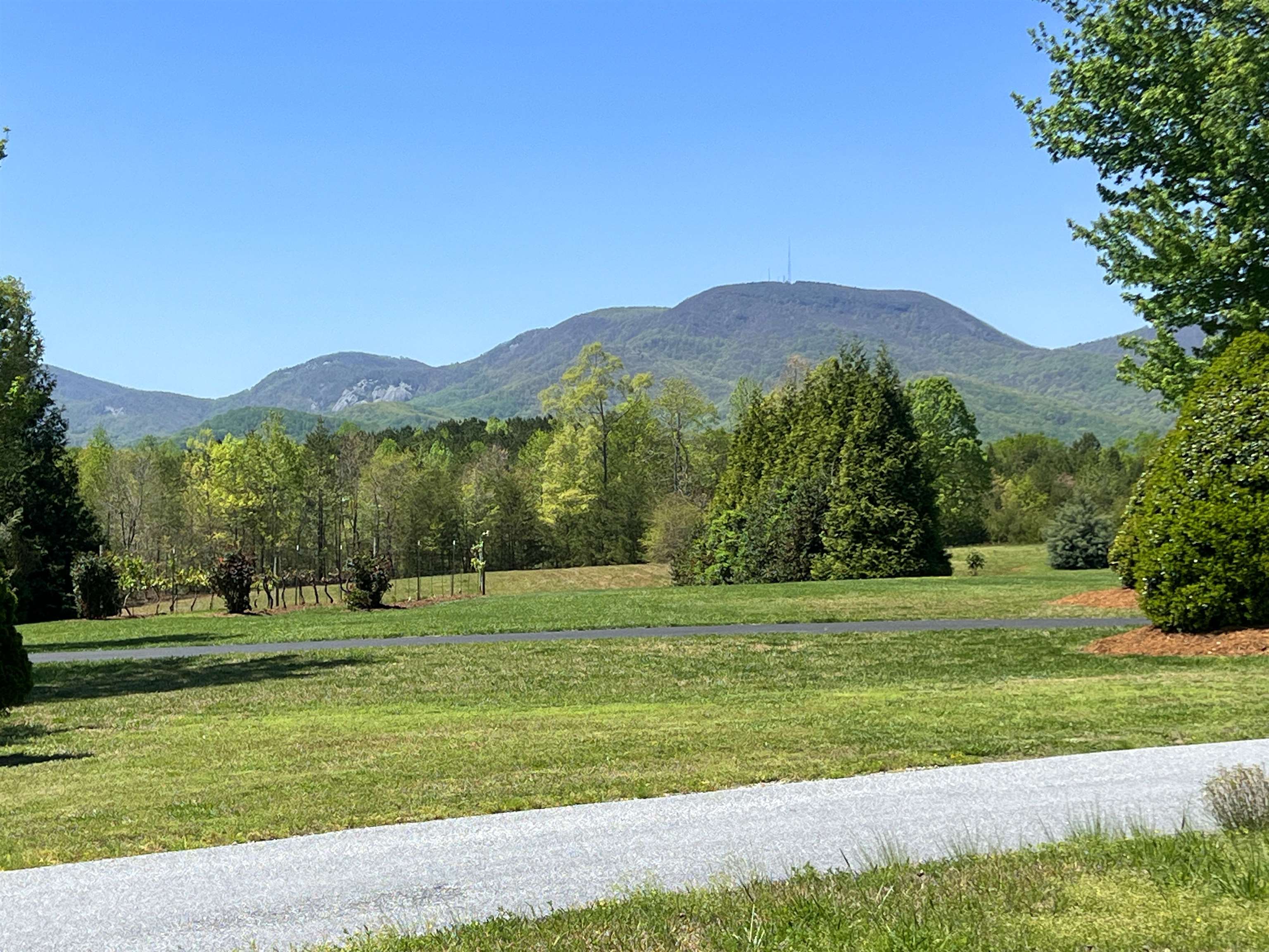 101 Moccasin Way, Landrum, South Carolina image 3