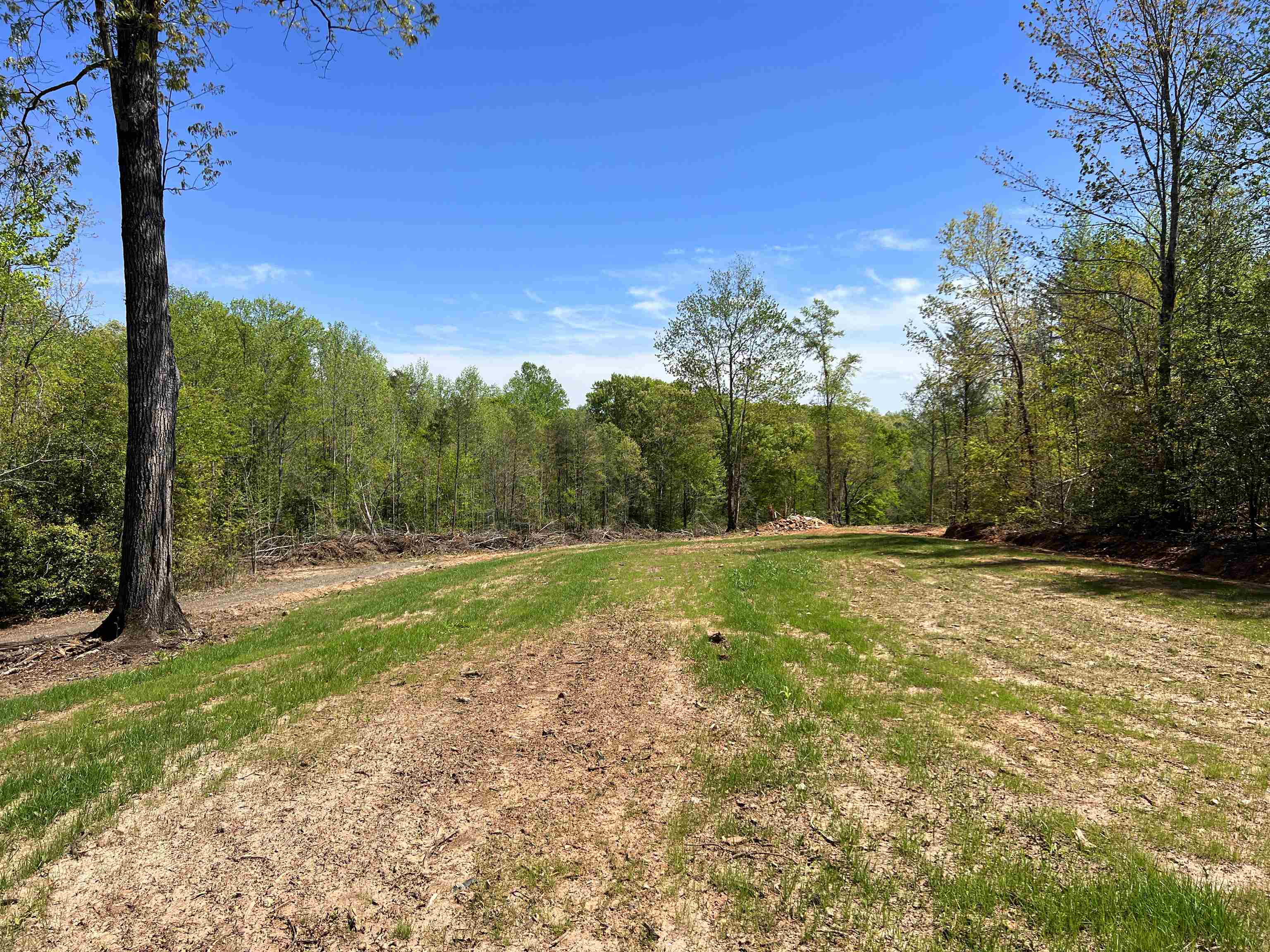 101 Moccasin Way, Landrum, South Carolina image 23