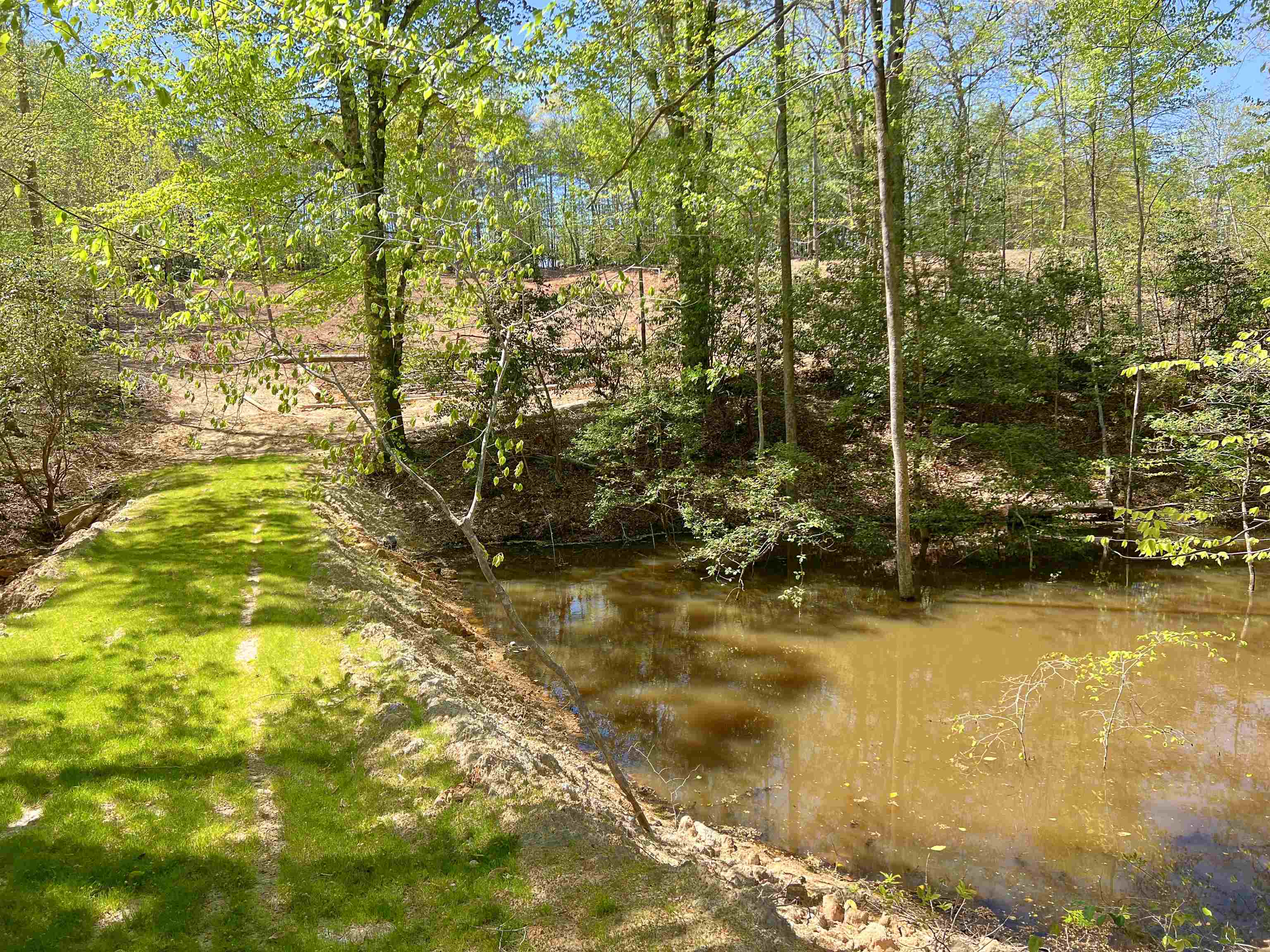 101 Moccasin Way, Landrum, South Carolina image 26