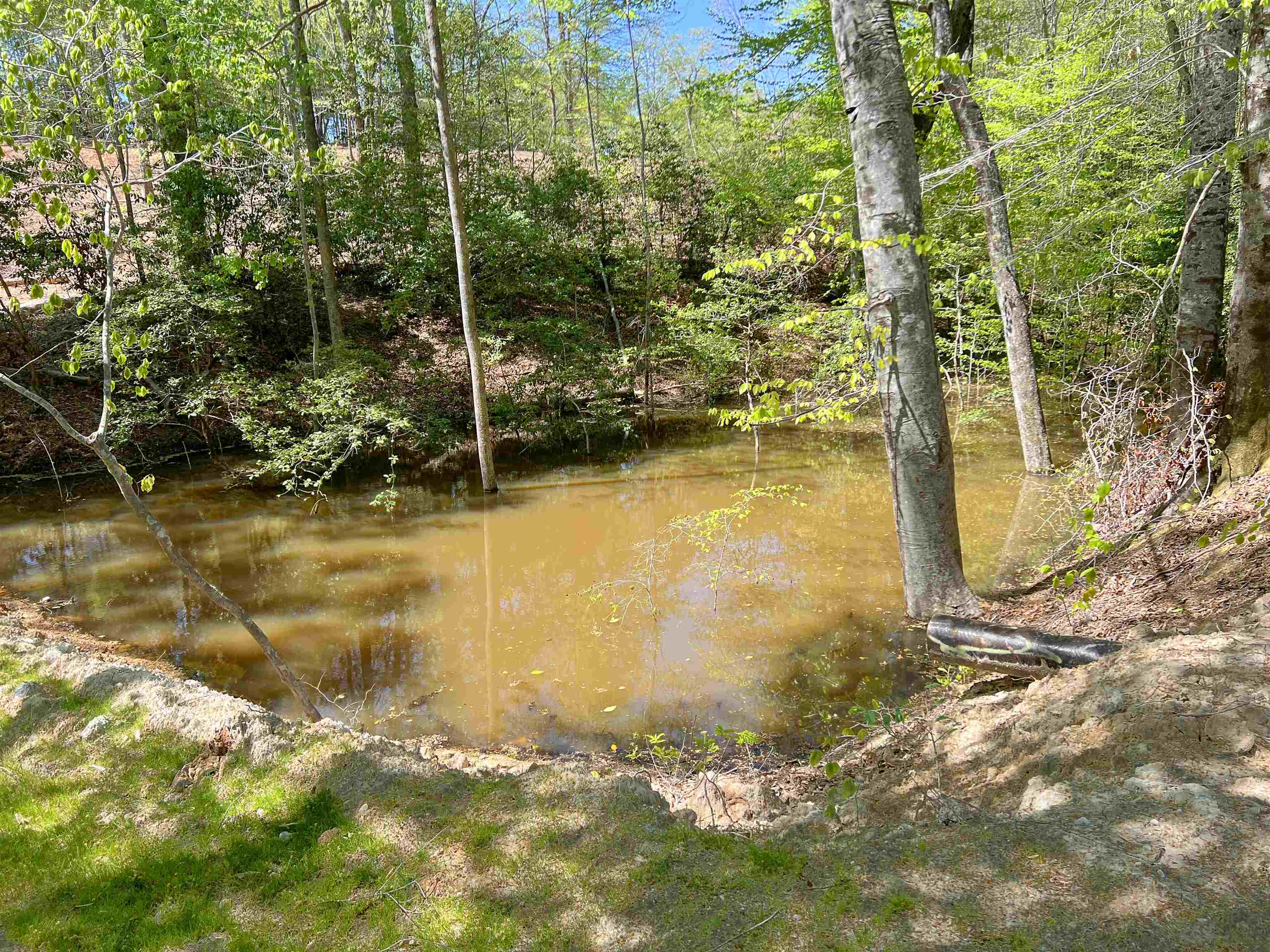 101 Moccasin Way, Landrum, South Carolina image 27