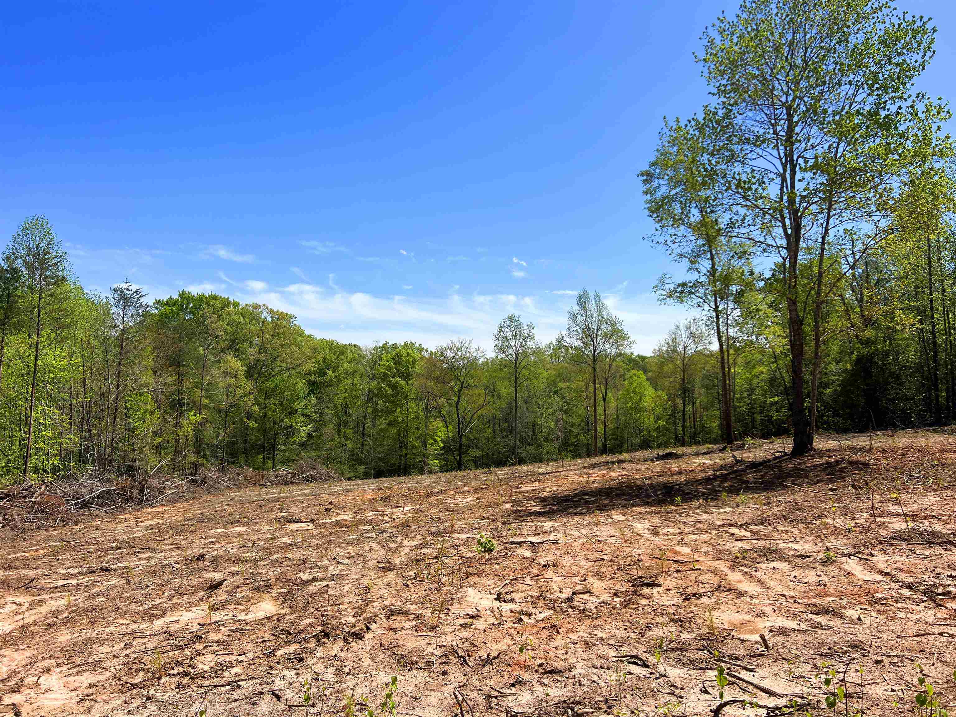 101 Moccasin Way, Landrum, South Carolina image 25