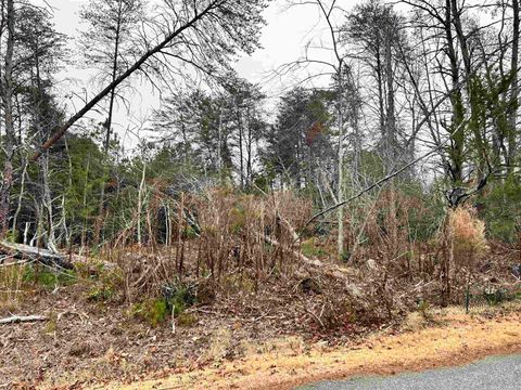 Vacant Land For Sale - Nash St<br/> Moore, SC 29369