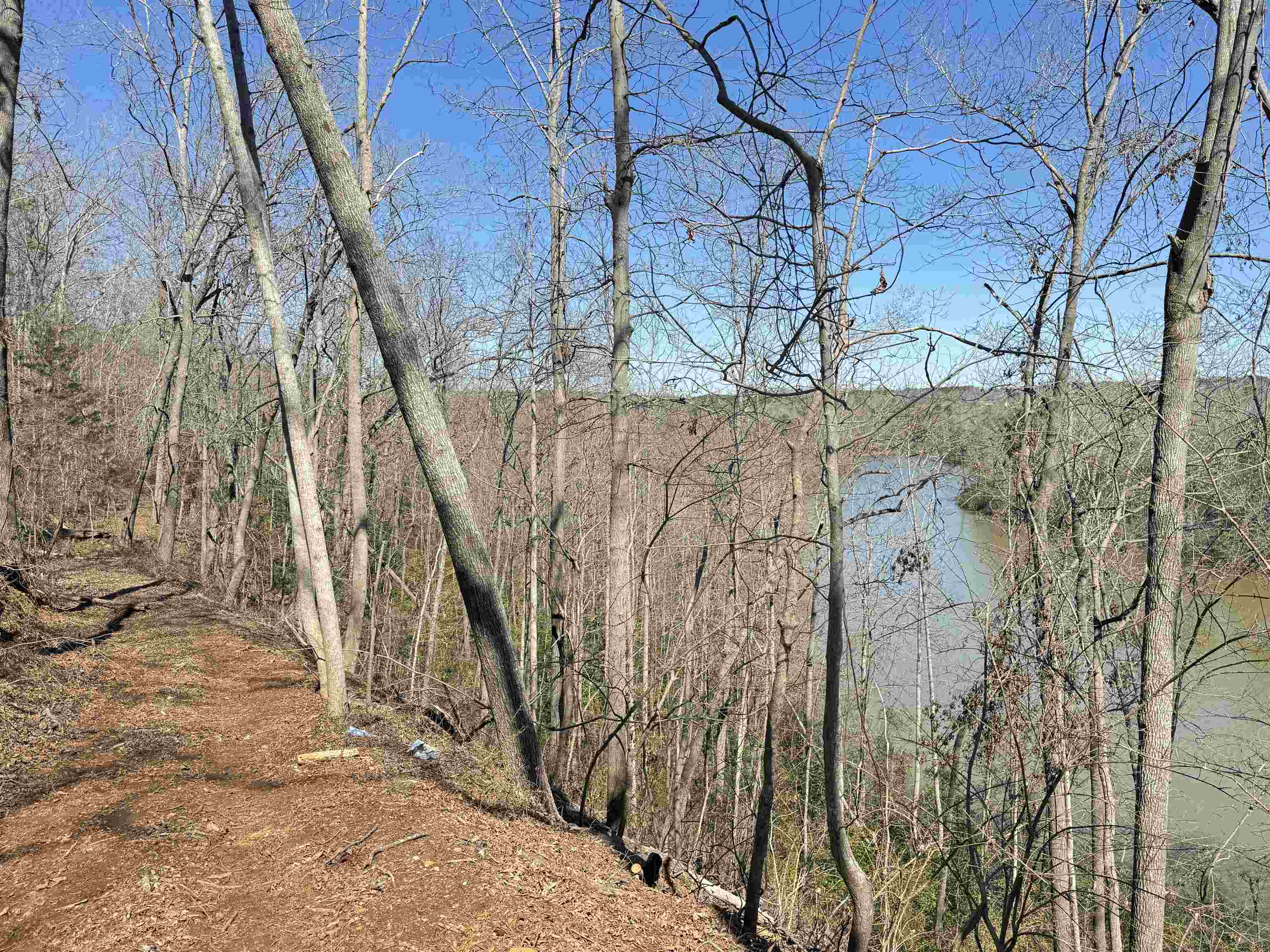 712 Buck Creek Rd, Chesnee, South Carolina image 4