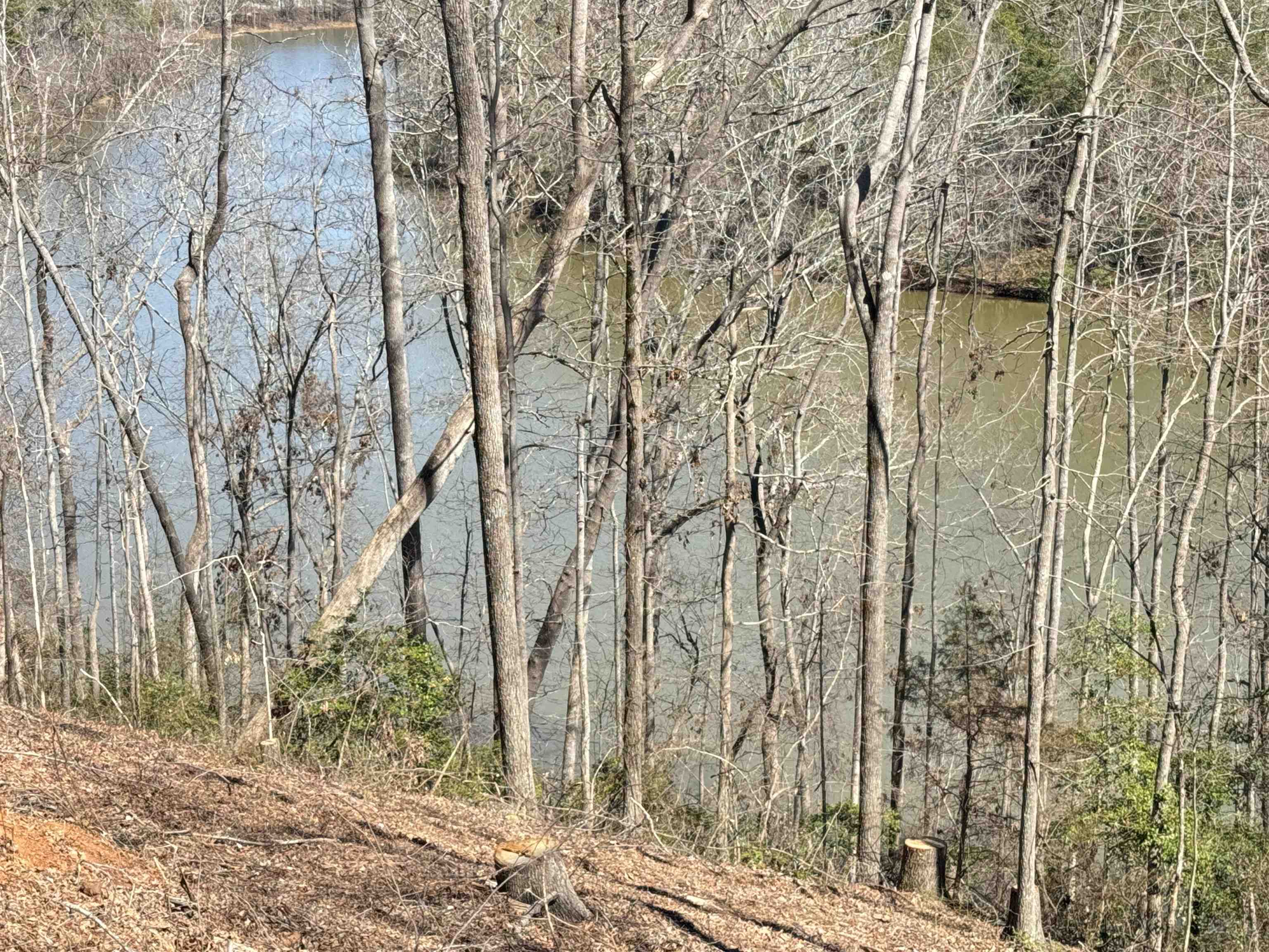 712 Buck Creek Rd, Chesnee, South Carolina image 1