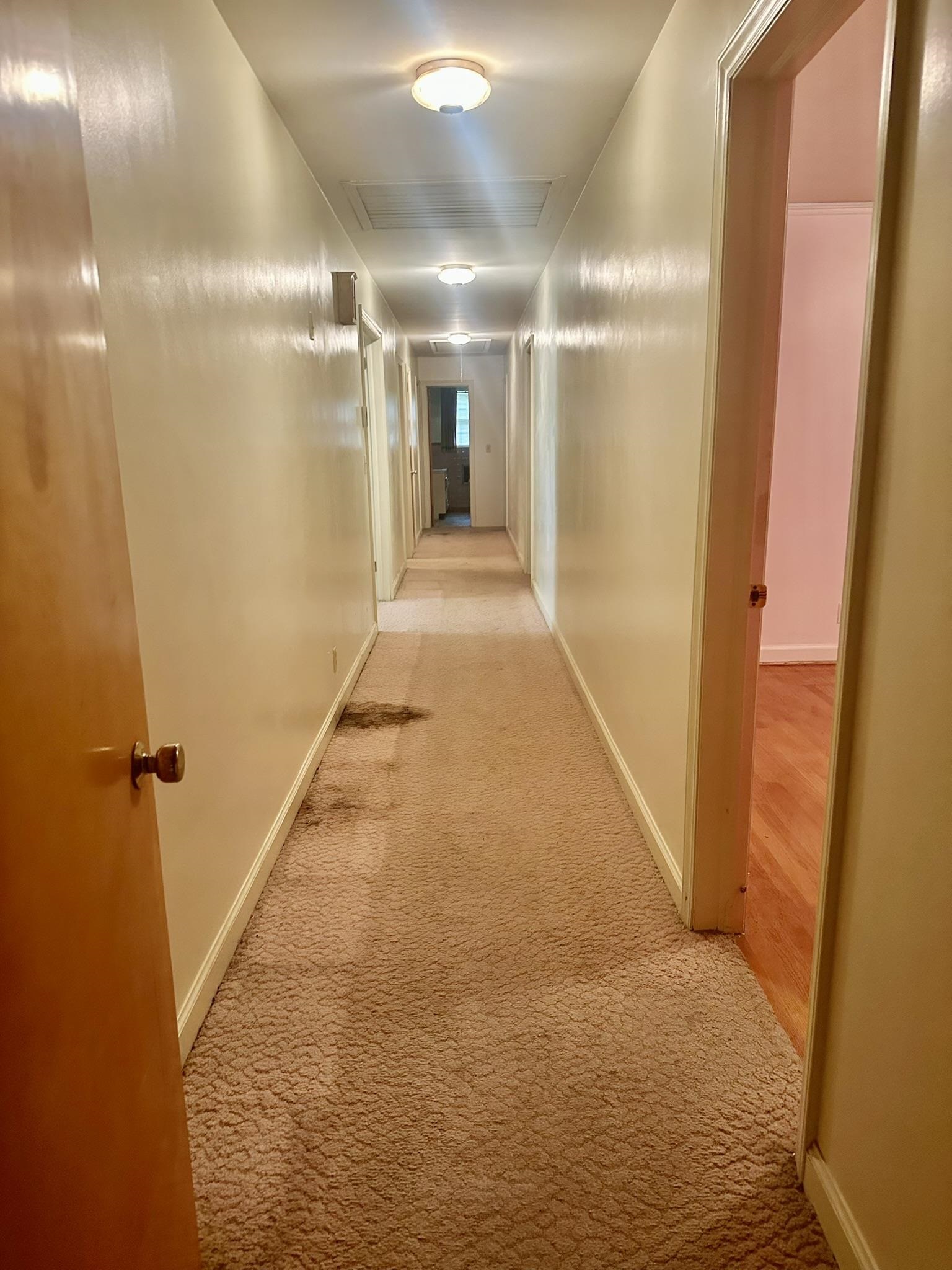 145 Whittier Place Pl, Spartanburg, South Carolina image 5