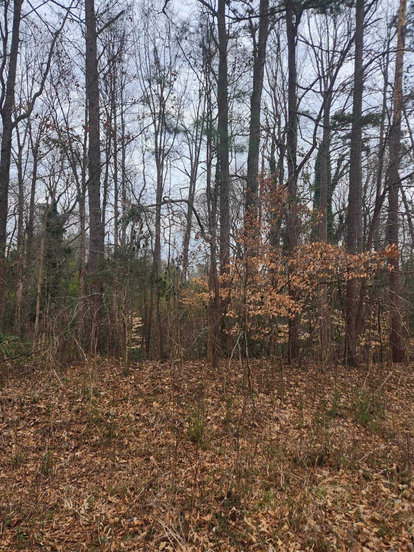 E Croft Cir, Spartanburg, South Carolina image 1
