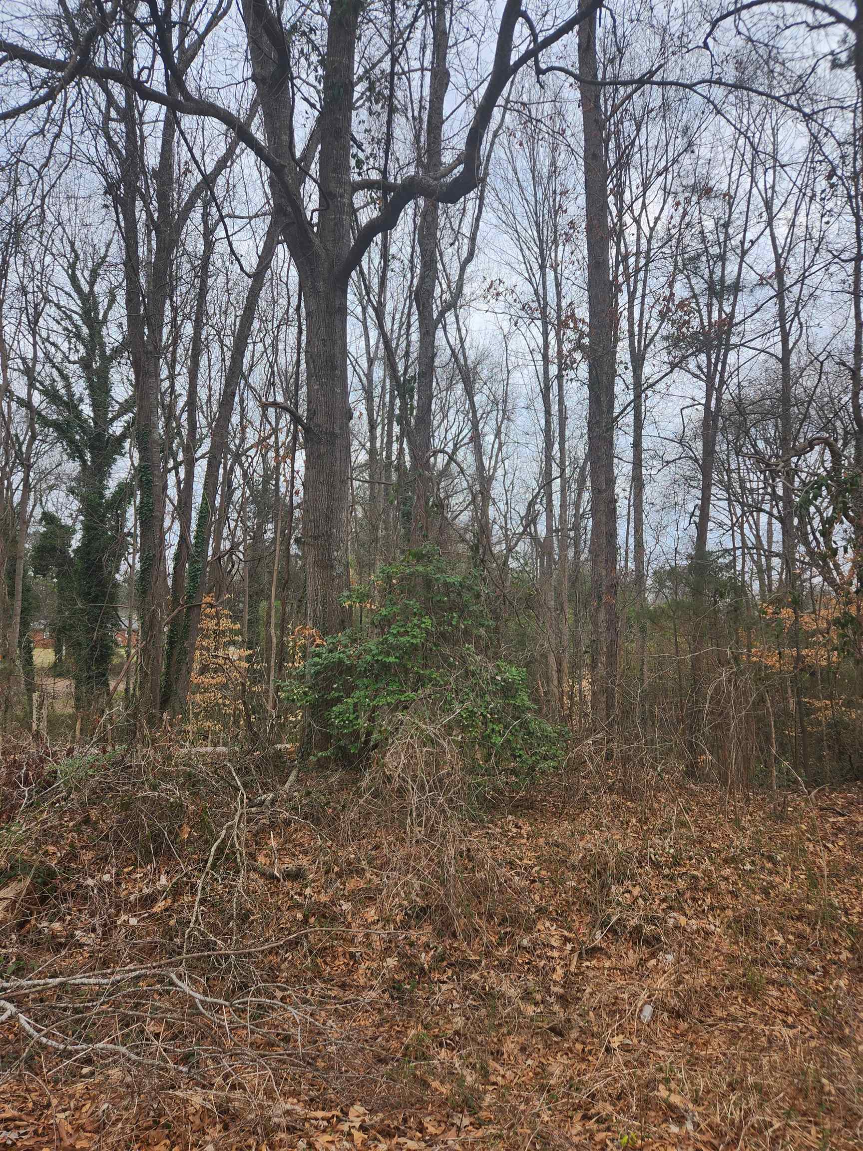 E Croft Cir, Spartanburg, South Carolina image 2