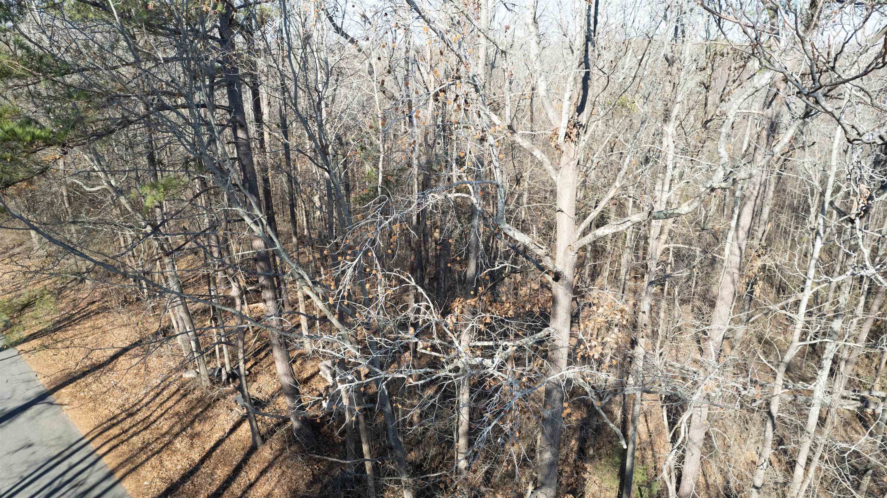 591 Dogwood Circle, Pacolet, South Carolina image 8