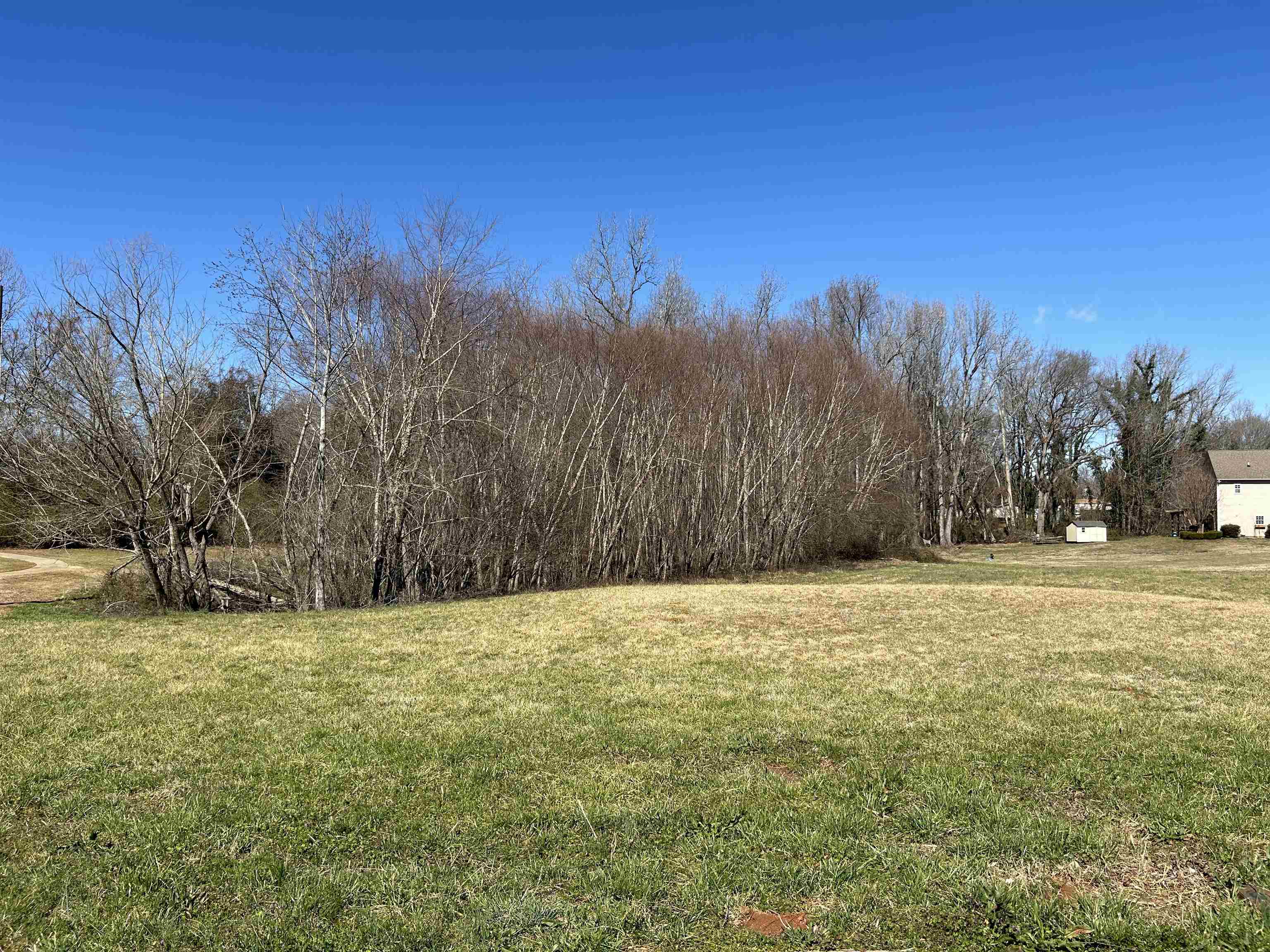590 Carey Drive, Greer, South Carolina image 1