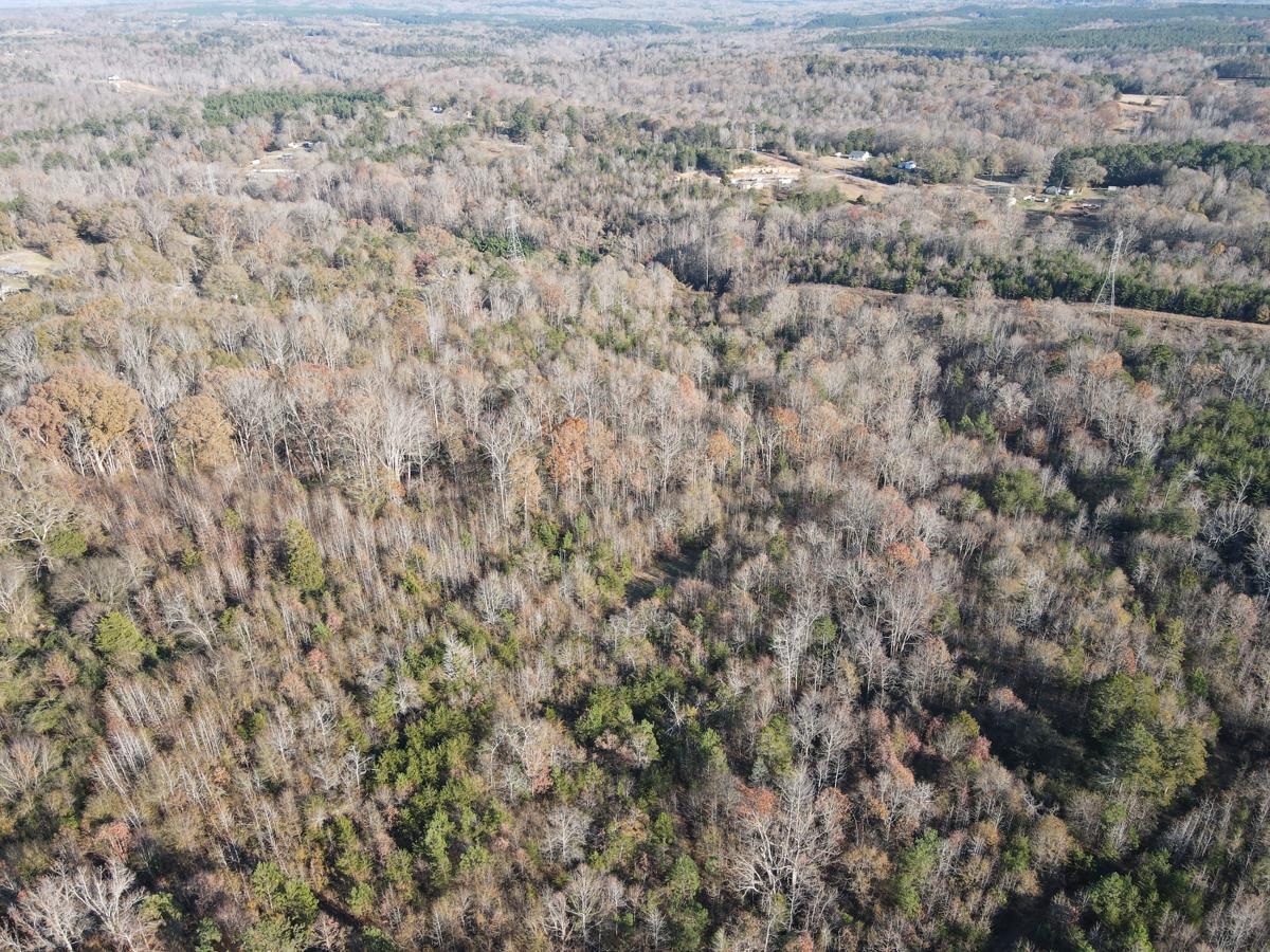 000 Silver Springs Street, Pacolet, South Carolina image 36