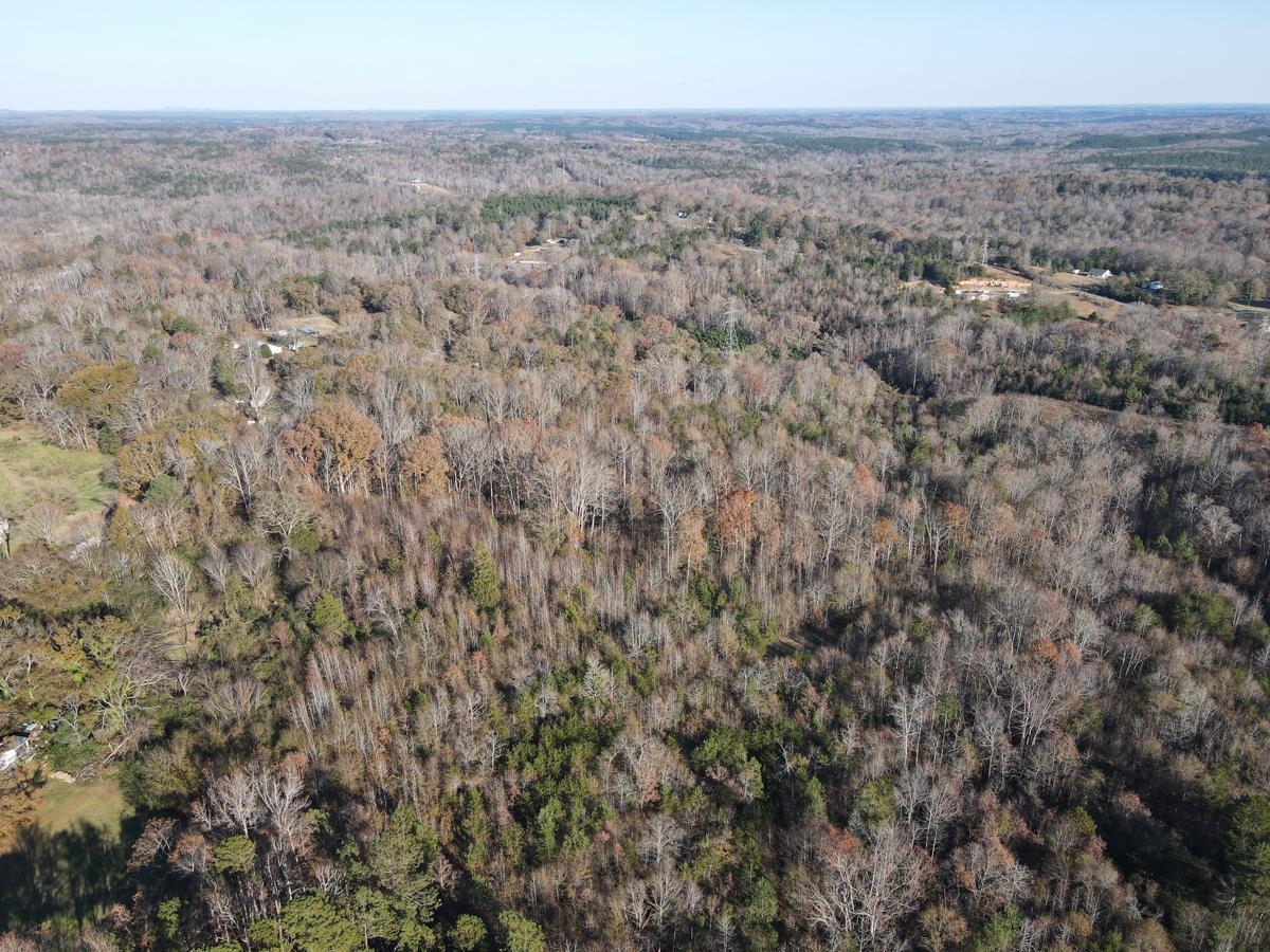 000 Silver Springs Street, Pacolet, South Carolina image 39
