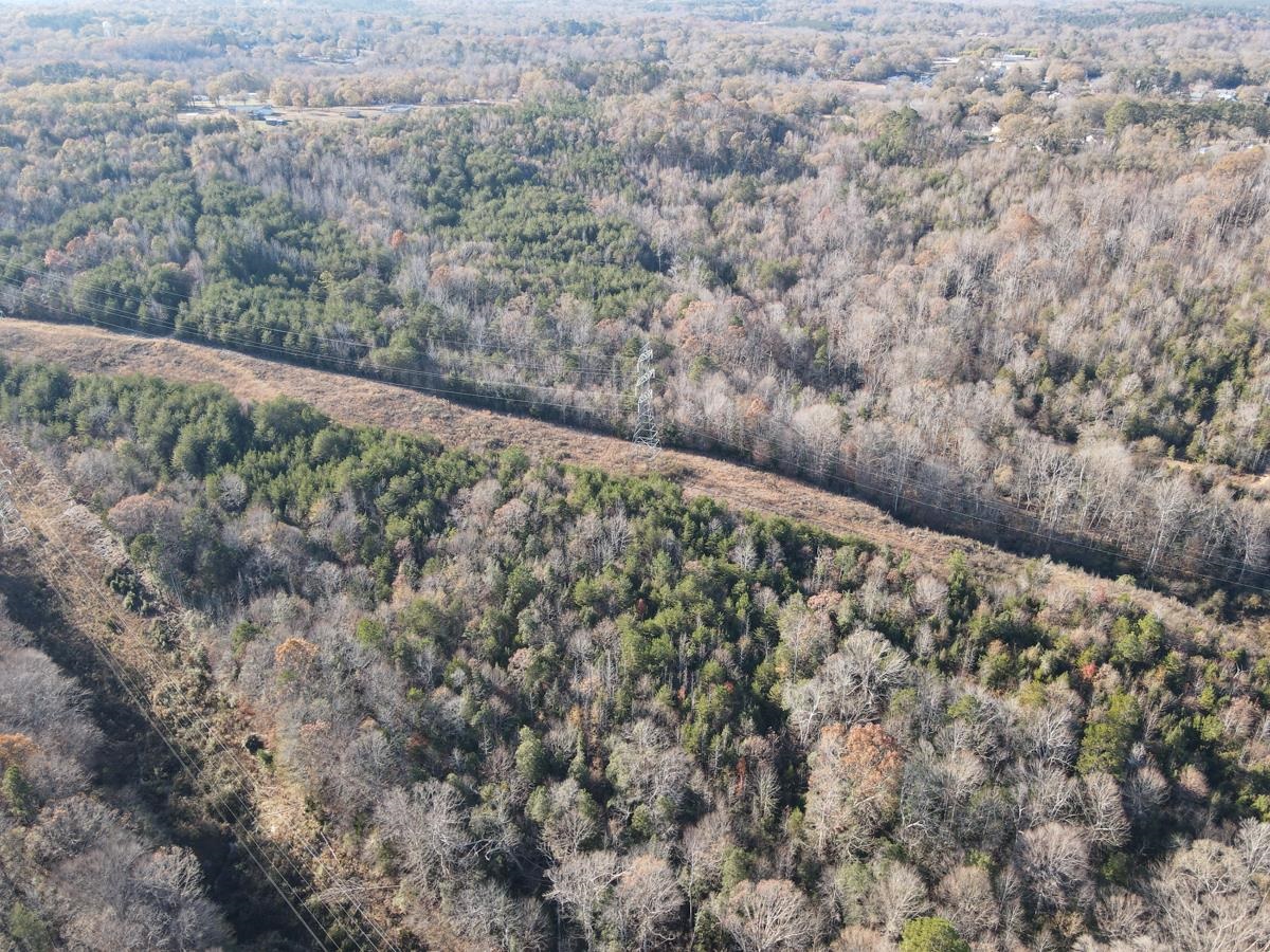 000 Silver Springs Street, Pacolet, South Carolina image 3