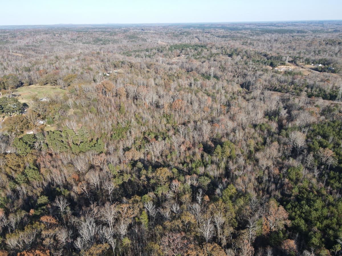 000 Silver Springs Street, Pacolet, South Carolina image 38