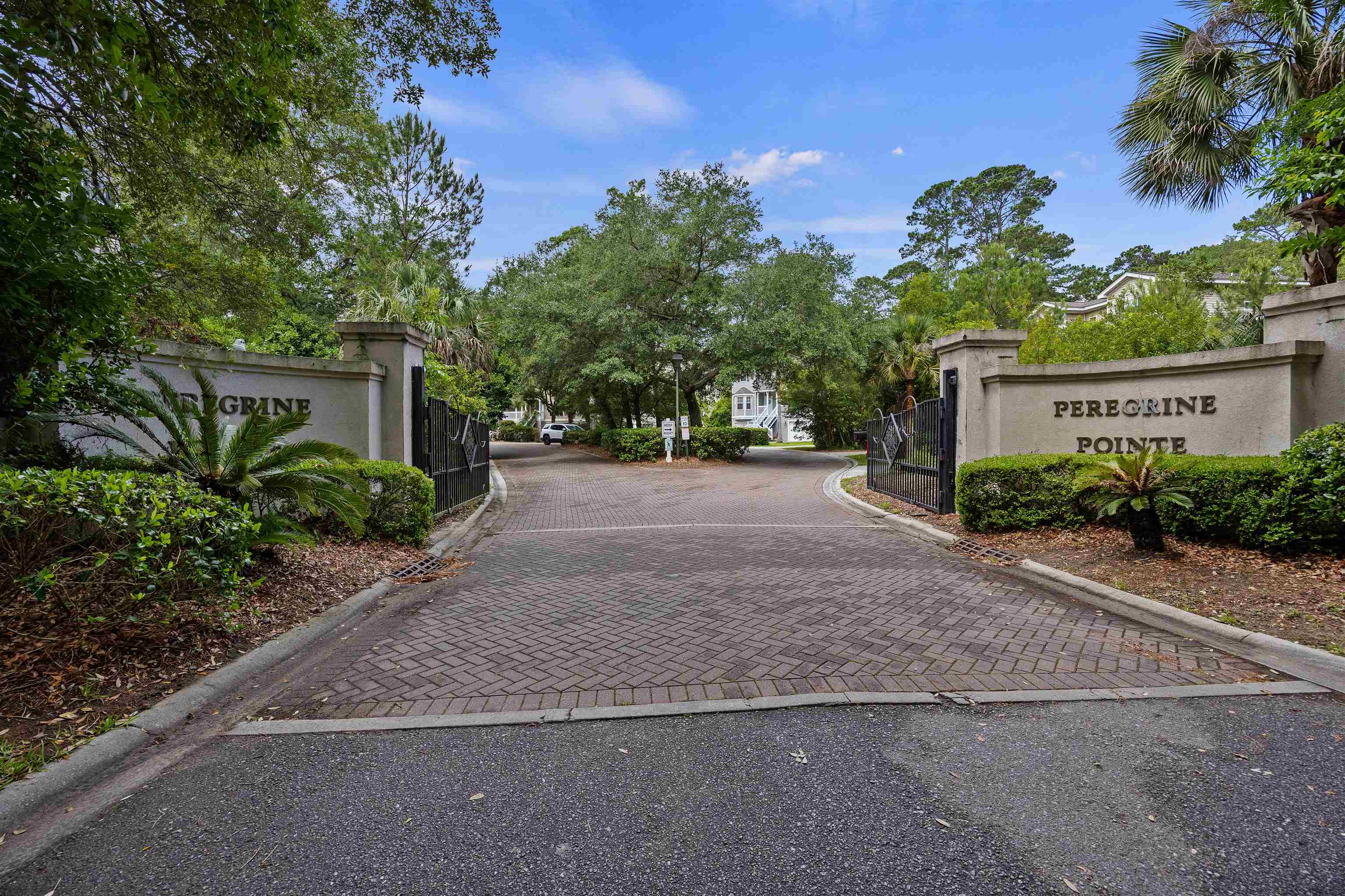 16 Peregrine Drive, hilton head island, South Carolina image 28