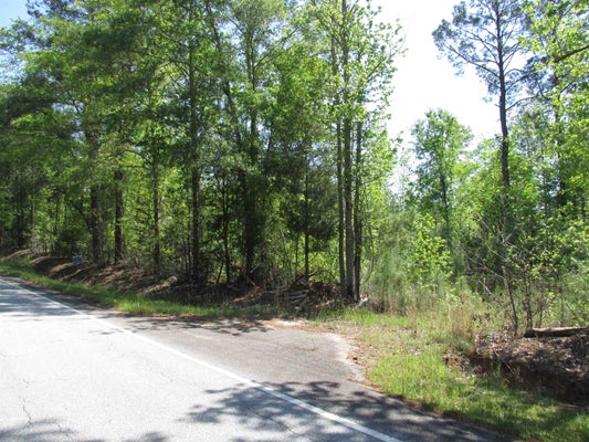 KINCAID BRIDGE RD, WINNSBORO, SC 29180 - Image 21a99994ee6d78bf64326876cb71a3af/931373249