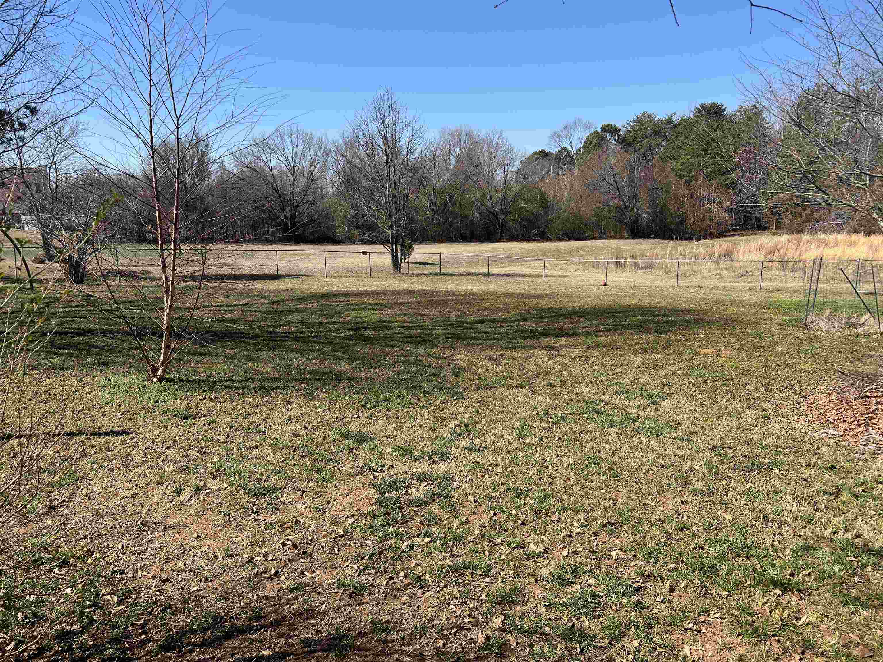 211 Red Haven Drive, Boiling Springs, South Carolina image 6
