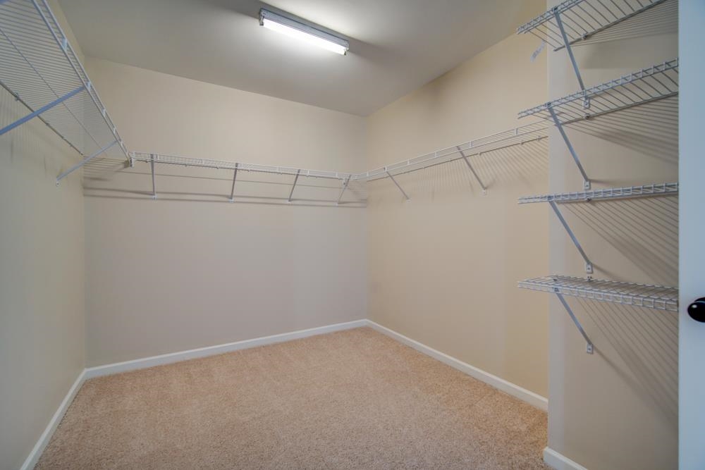 209 Werninger Court, Greer, South Carolina image 28