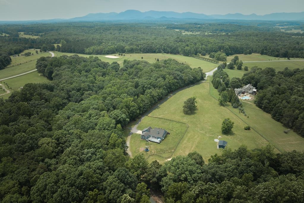 355 Night Lark Lane, Campobello, South Carolina image 3