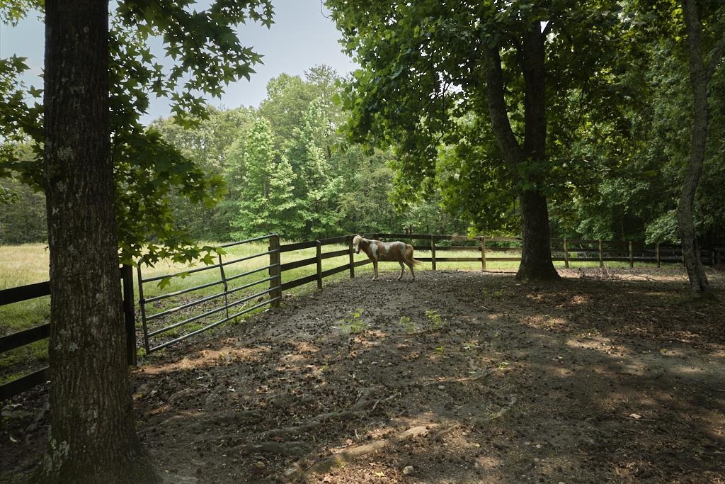 355 Night Lark Lane, Campobello, South Carolina image 38