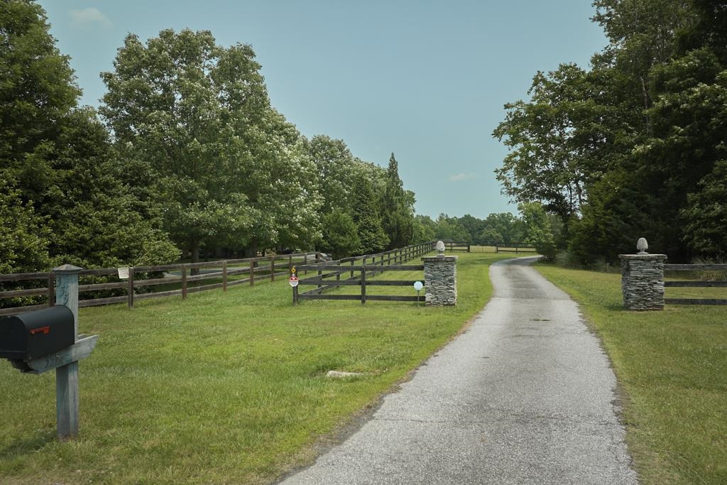 355 Night Lark Lane, Campobello, South Carolina image 40