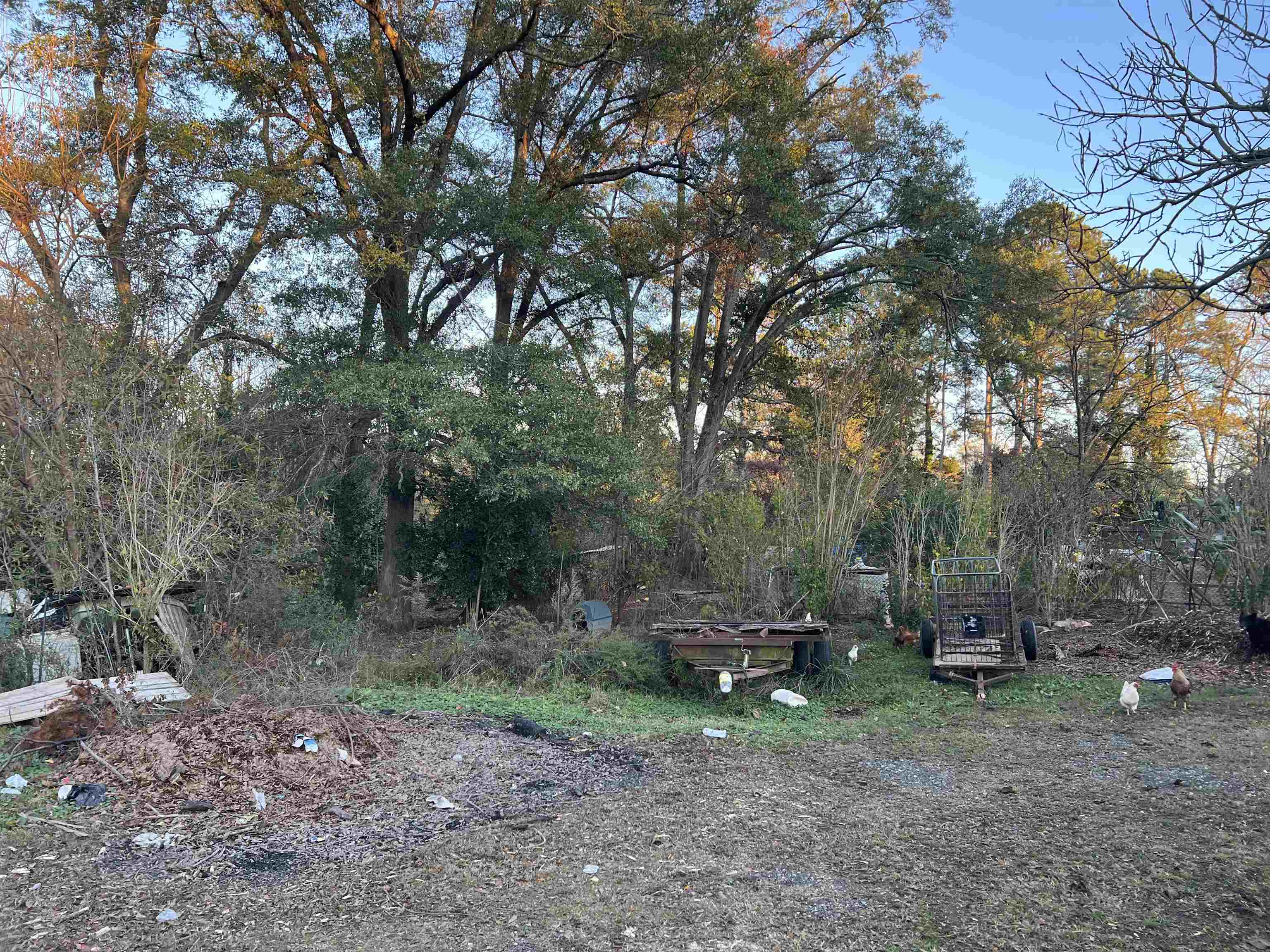 253 California Avenue, Spartanburg, South Carolina image 11