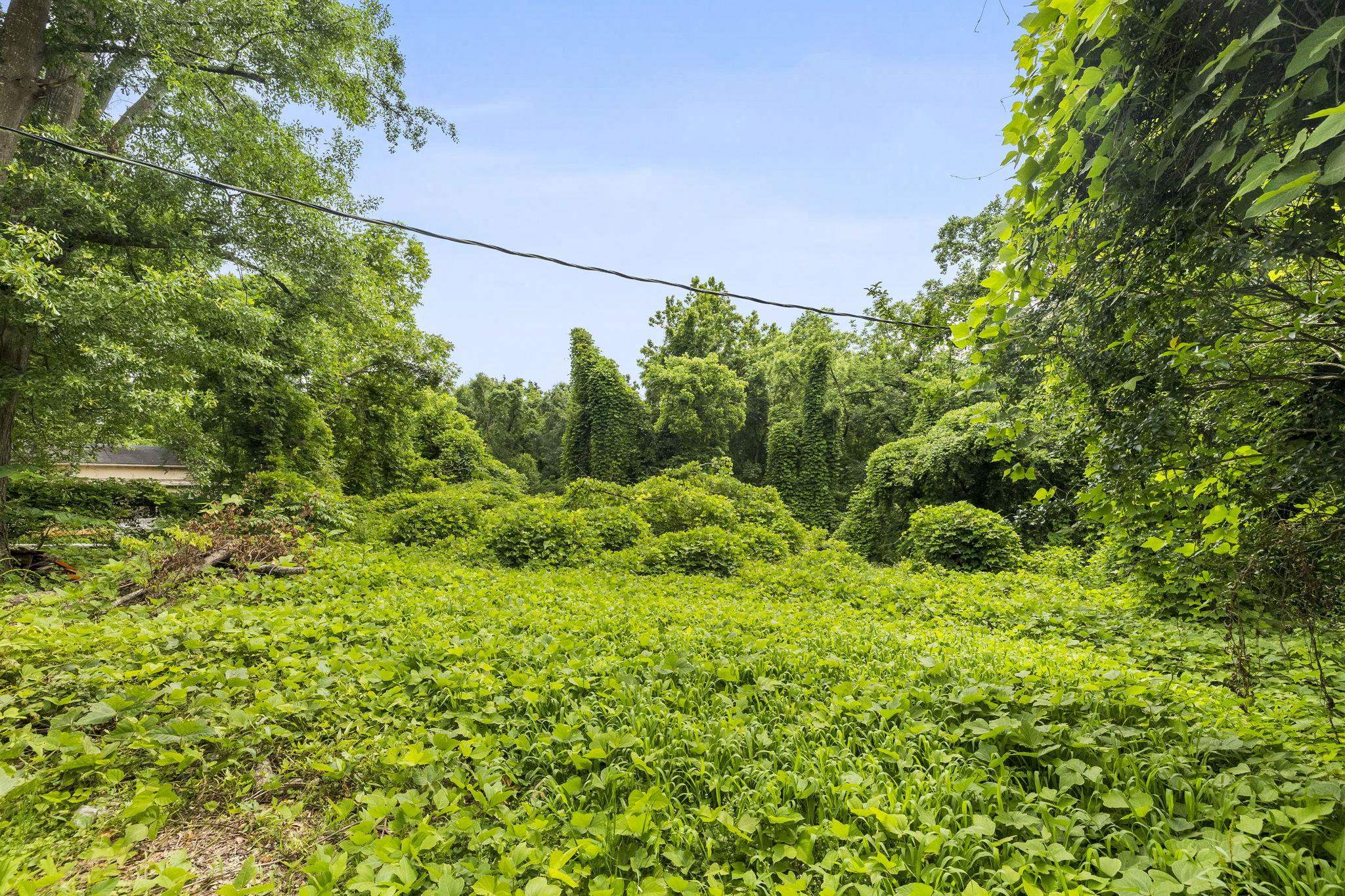 207 Cedar Crest Road, Spartanburg, South Carolina image 24
