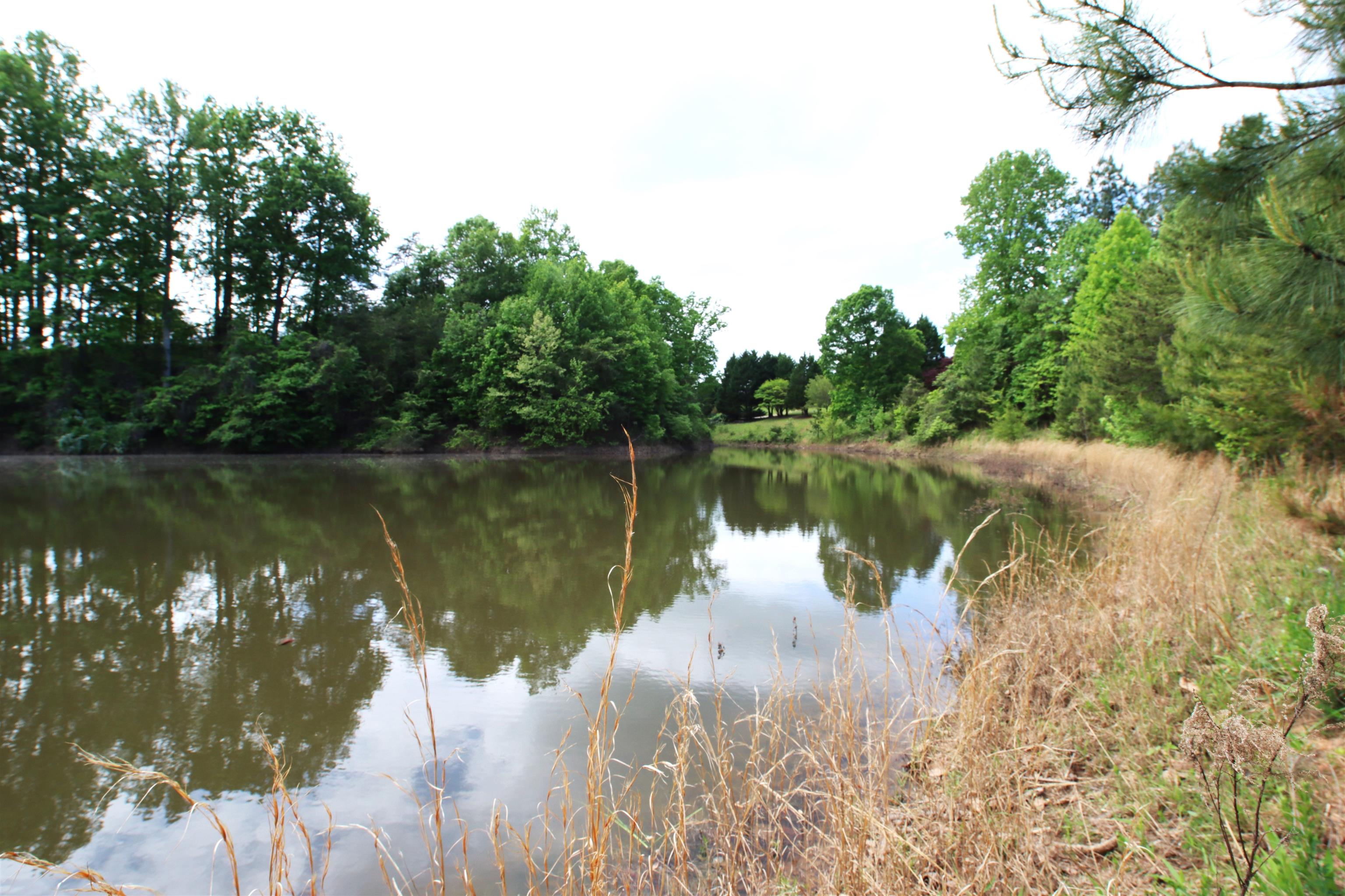1920 Landrum Mill Road, Campobello, South Carolina image 46