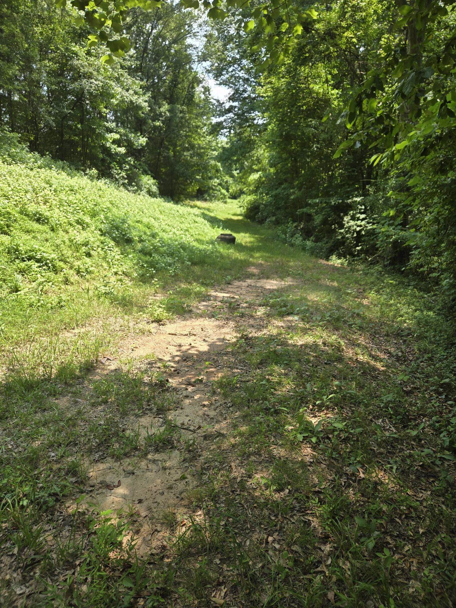 Pepper Street, Central, South Carolina image 3